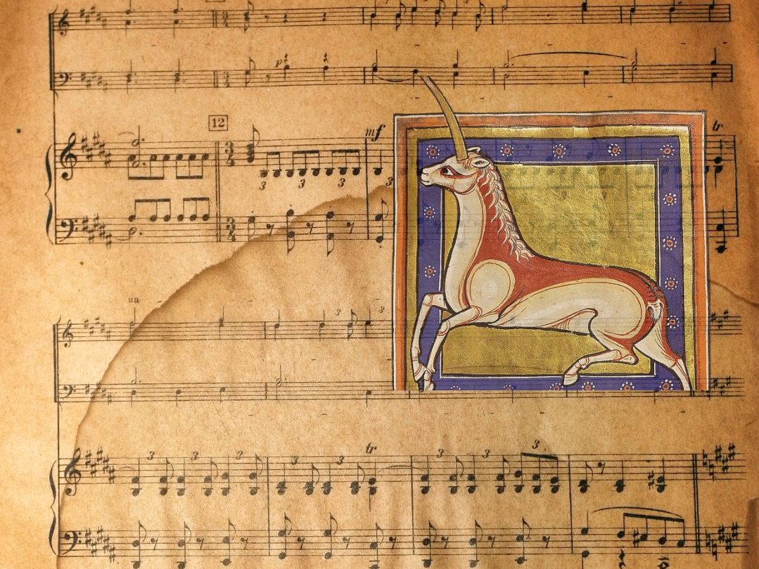 Concerto “Miracol in Natura” - Musica Antiqua