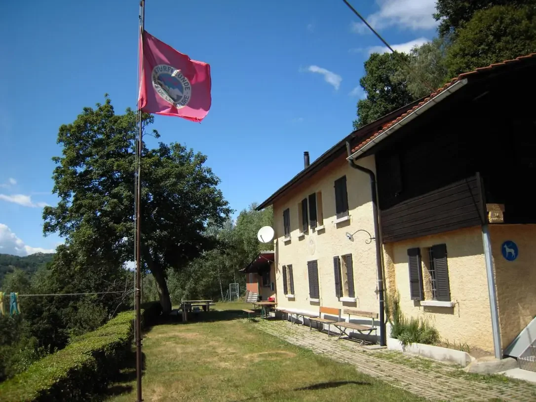 Ferragosto ginestra