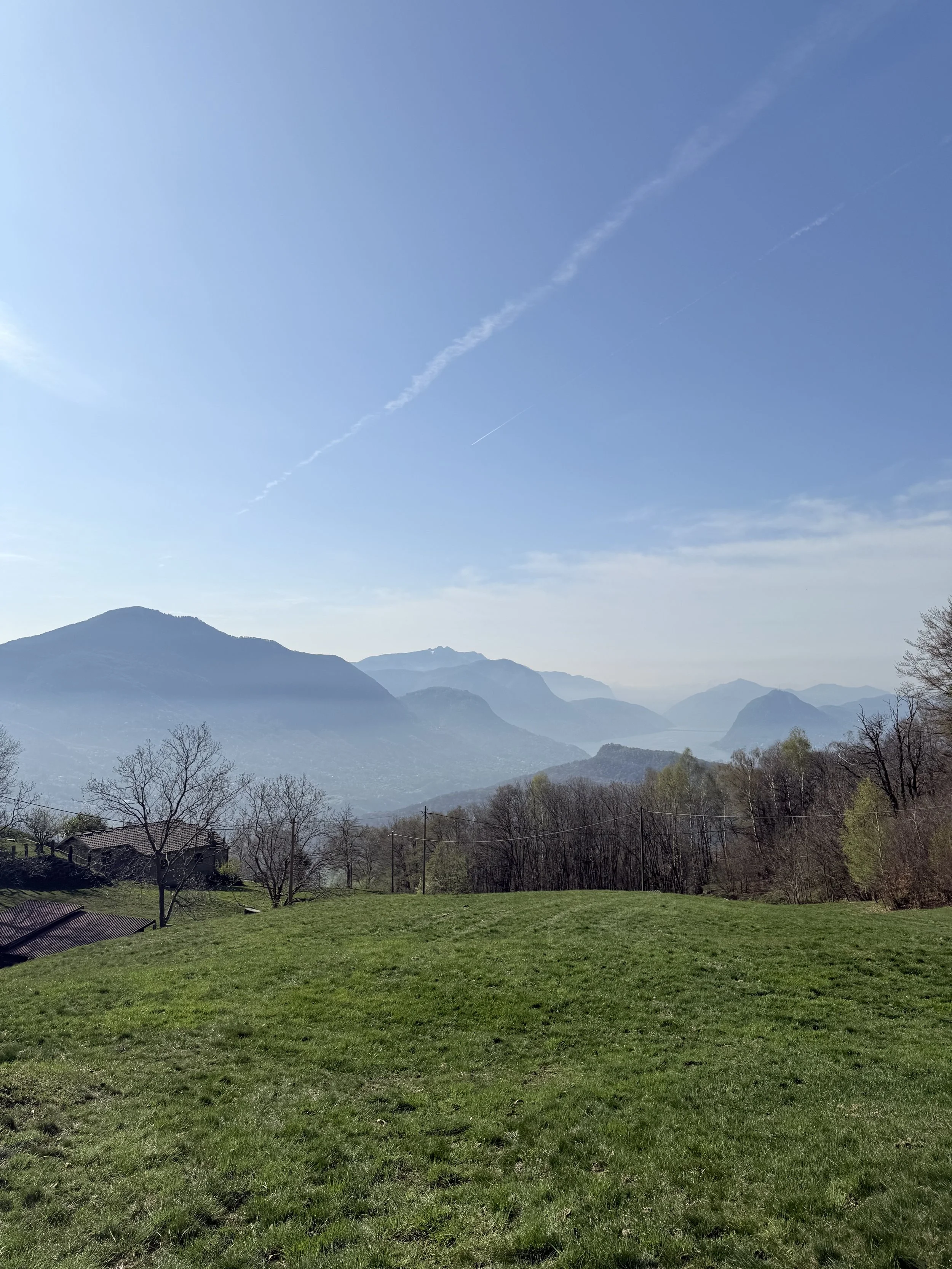 IMG_8144.jpeg