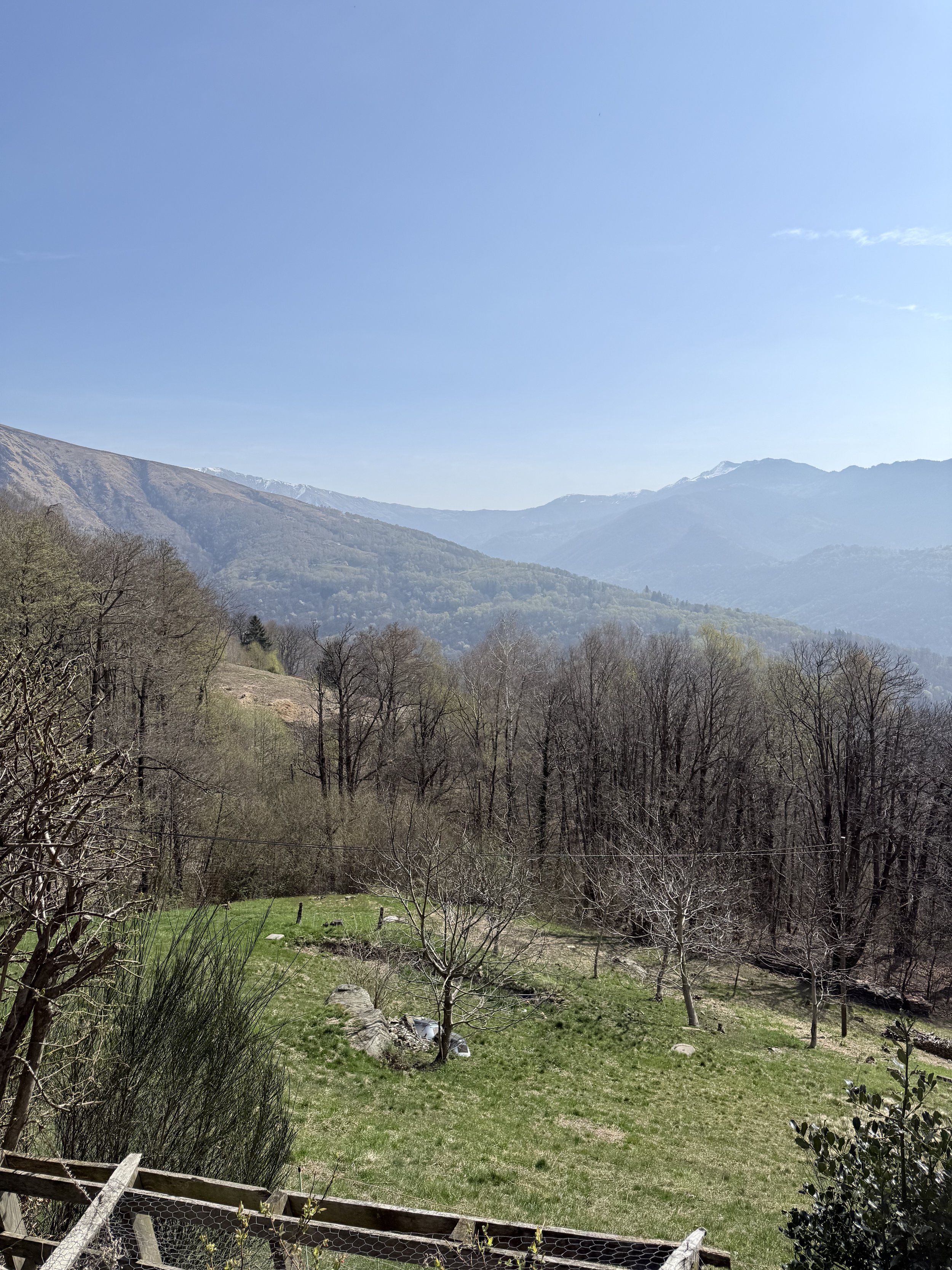 IMG_8192.jpeg