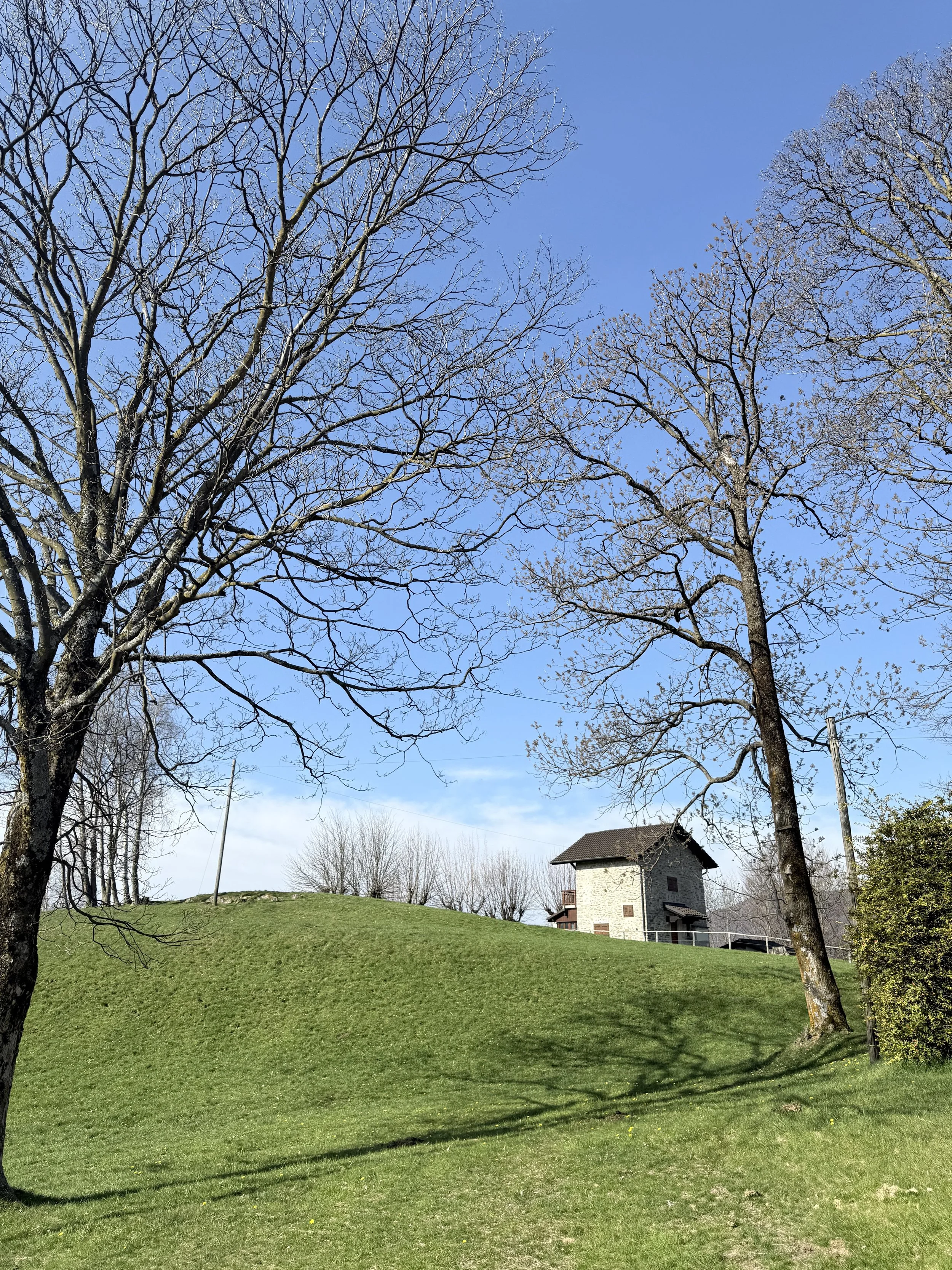 IMG_8126.jpeg