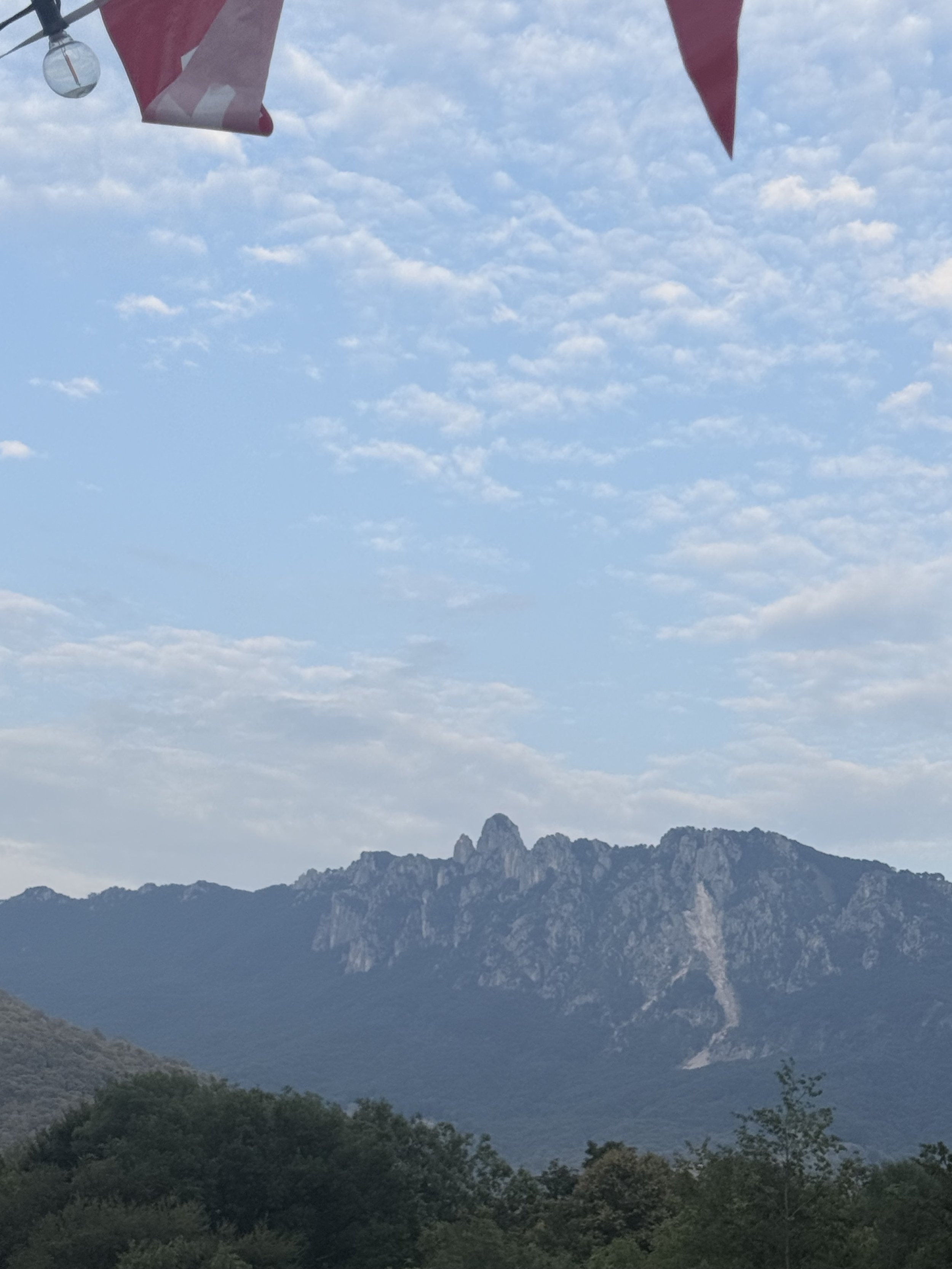 IMG_7008.jpeg