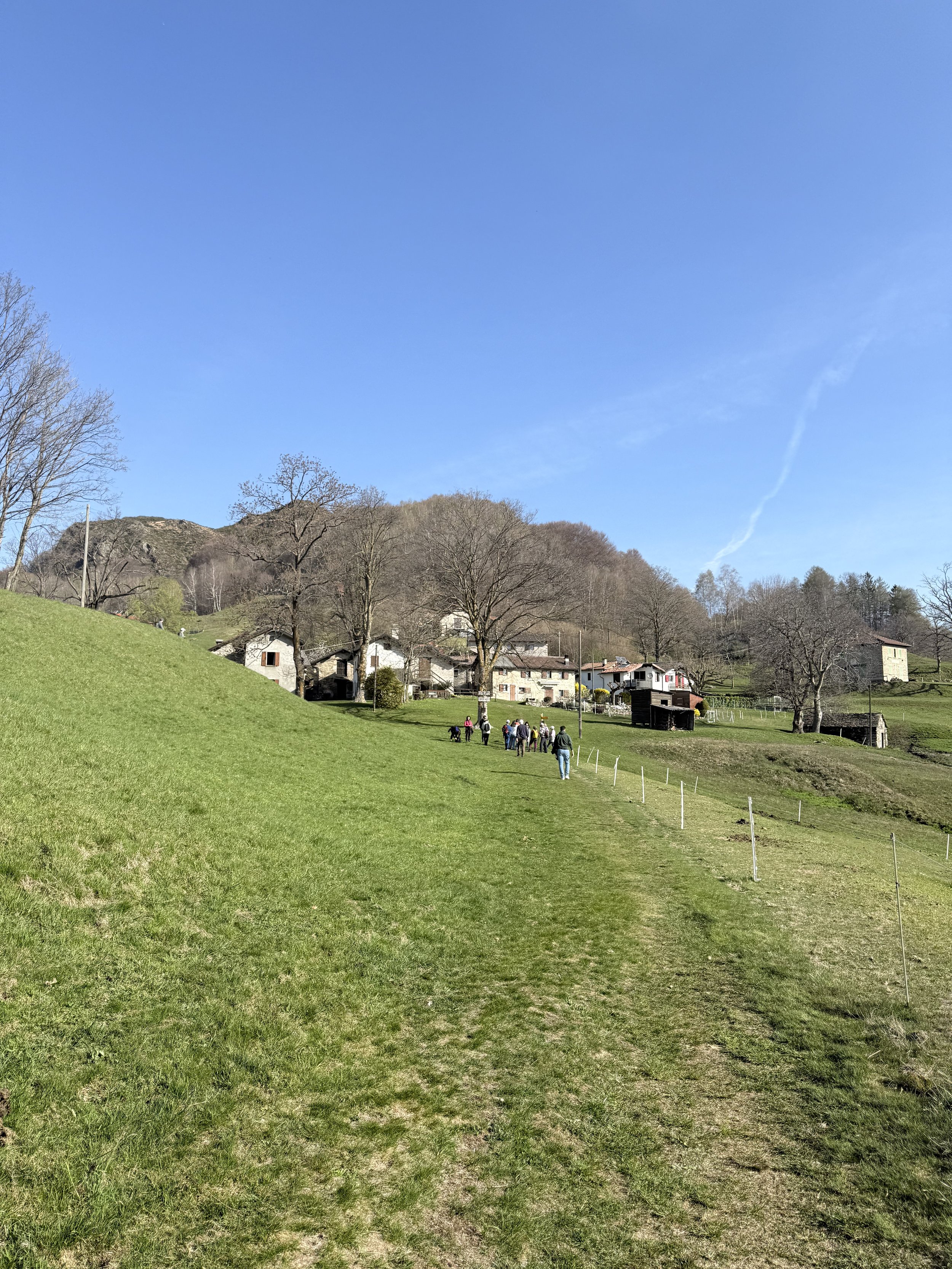 IMG_8110.jpeg