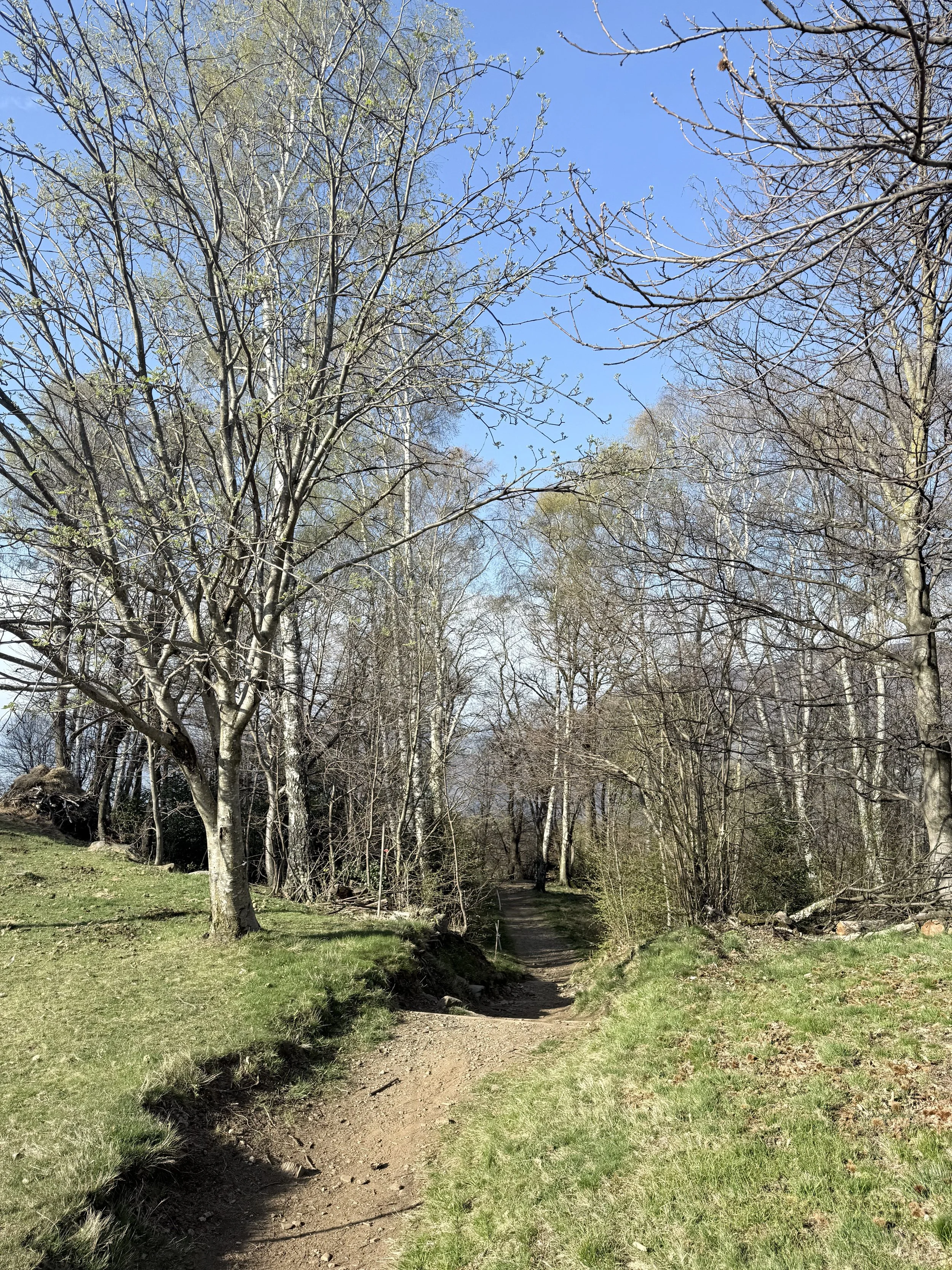 IMG_8106.jpeg