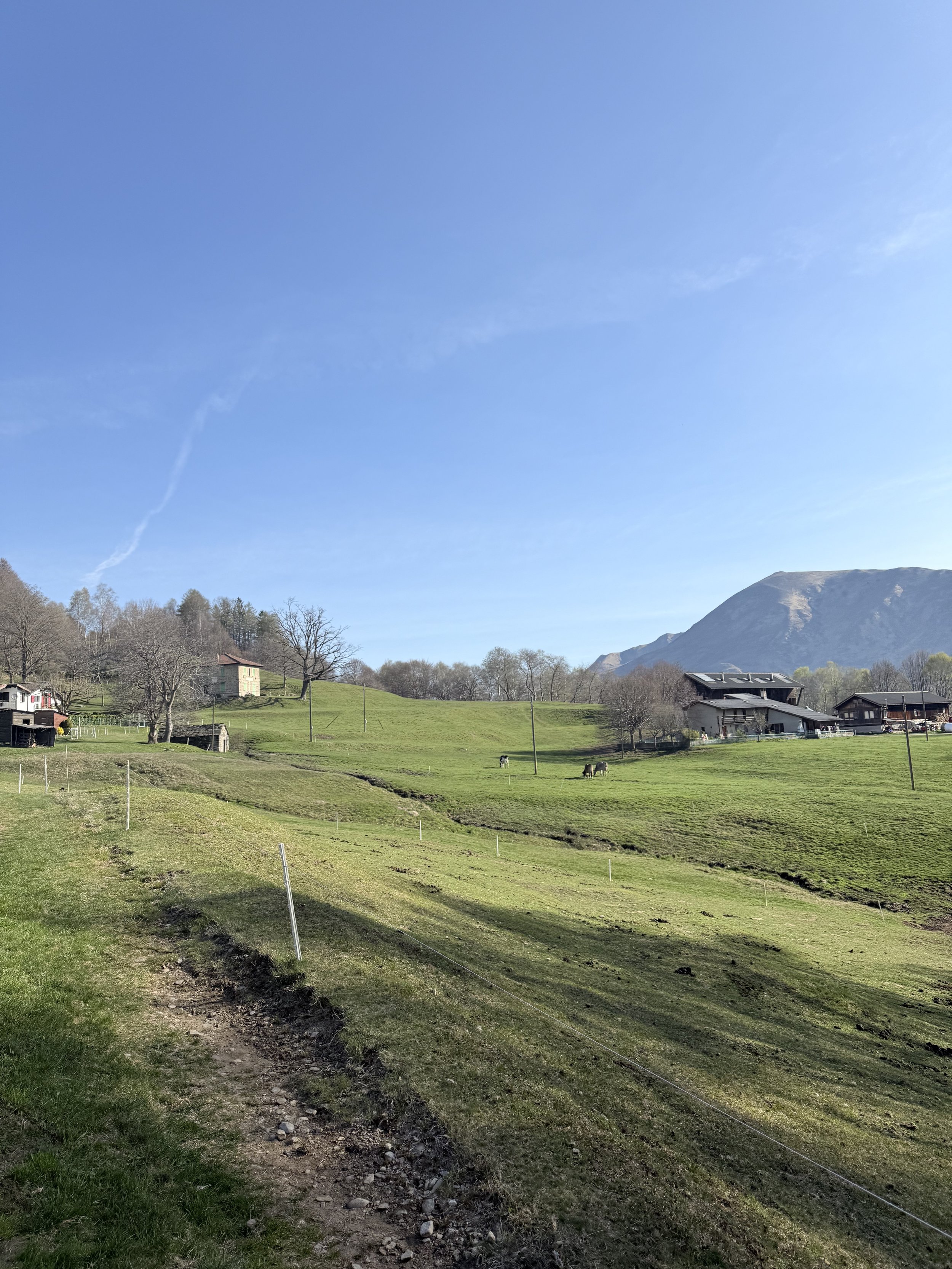 IMG_8109.jpeg
