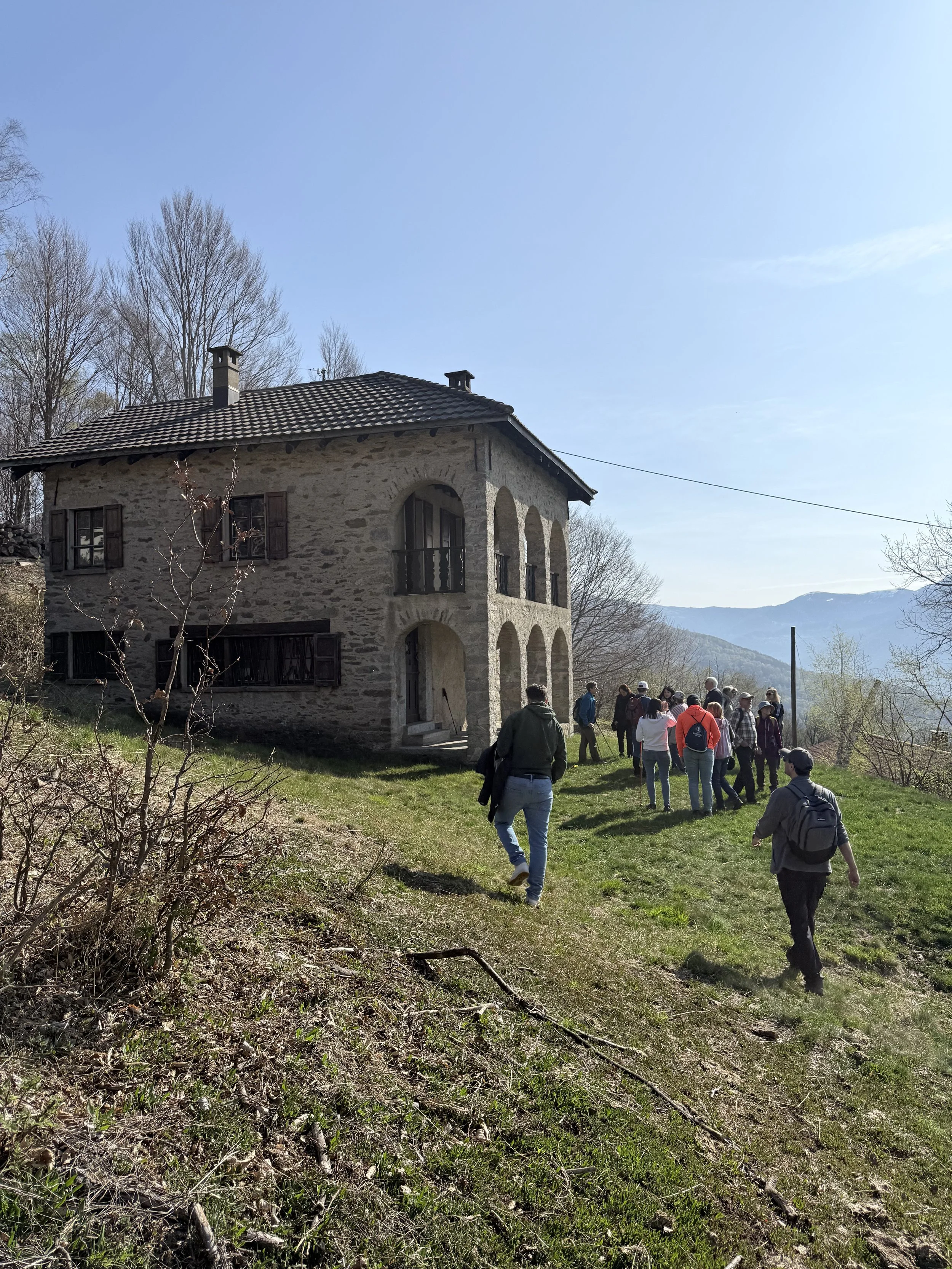 IMG_8142.jpeg