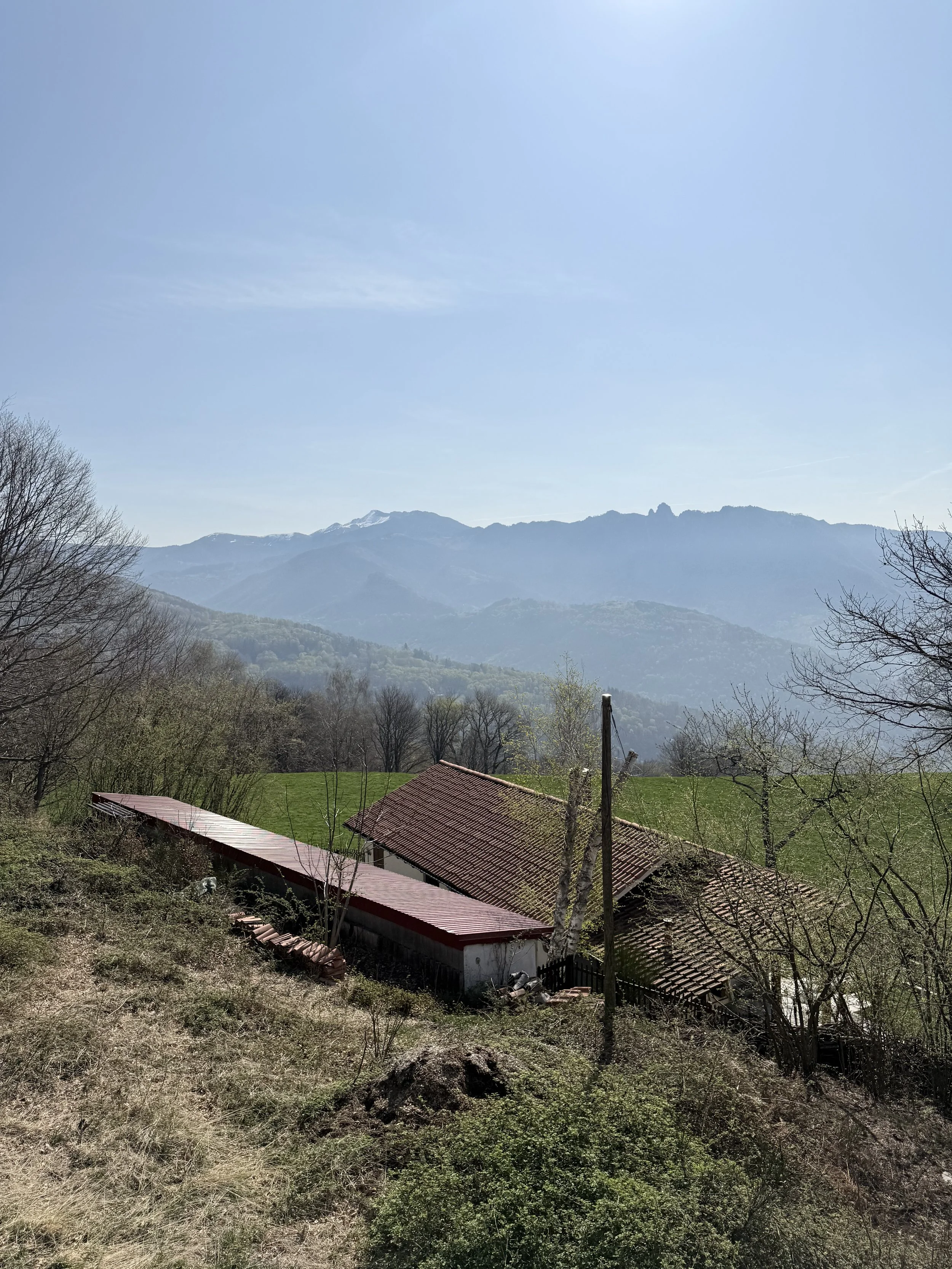 IMG_8184.jpeg
