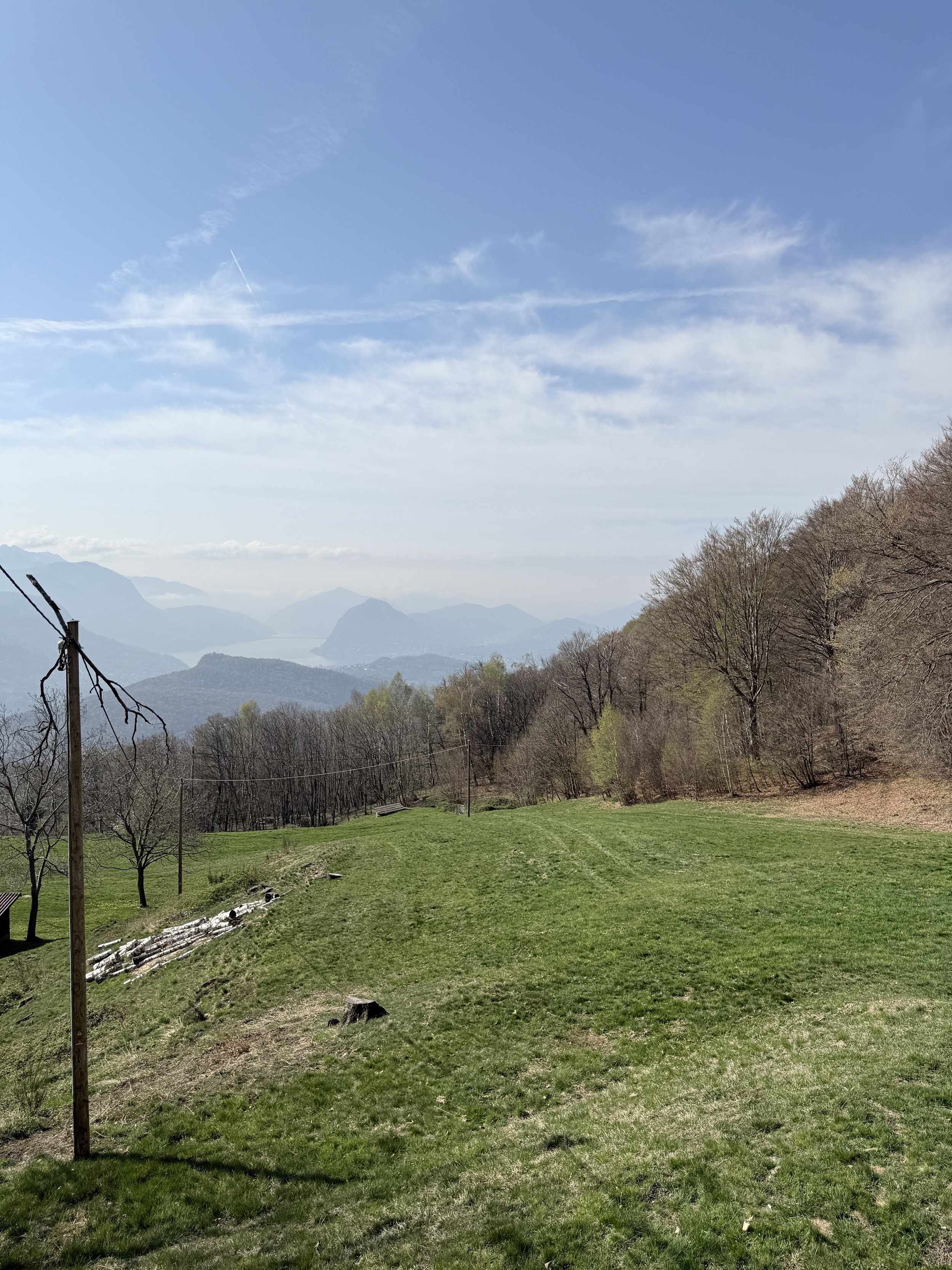IMG_8185.jpeg