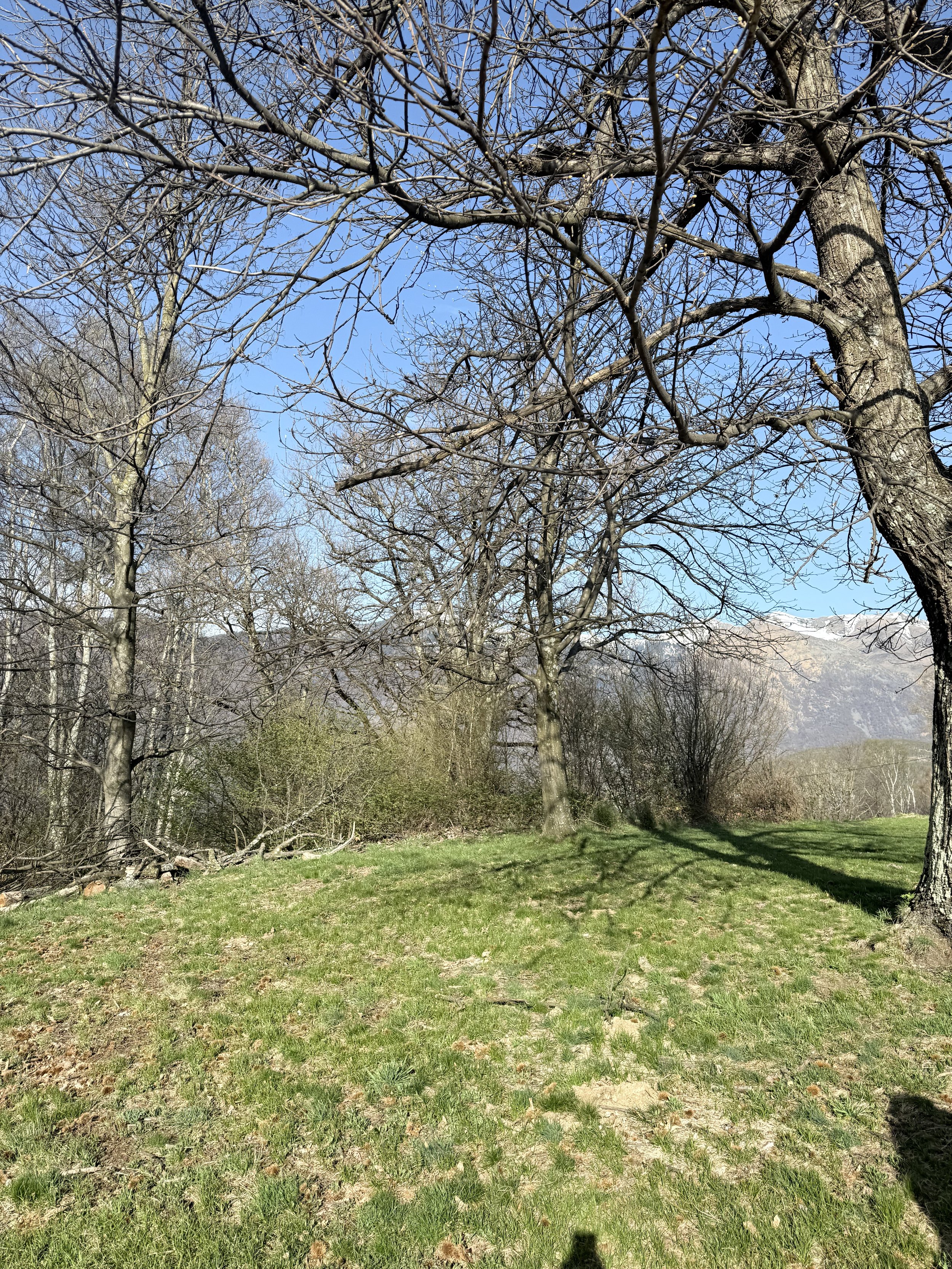 IMG_8105.jpeg