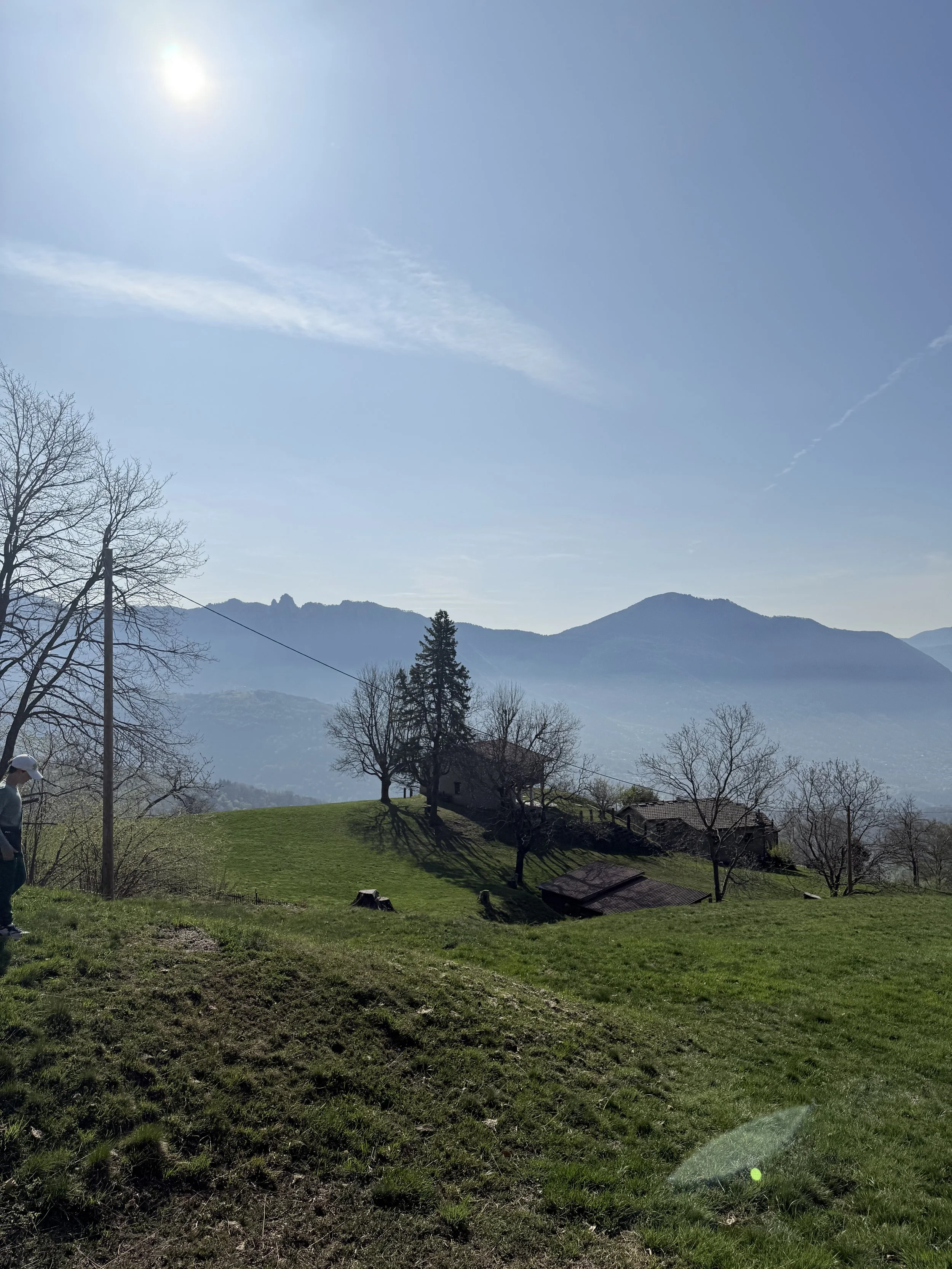 IMG_8145.jpeg