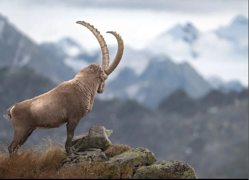 Esposizione fotografica