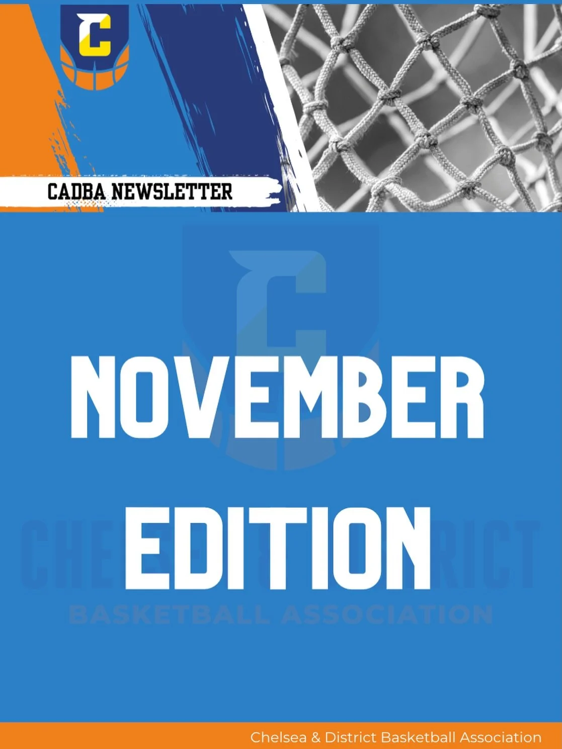 November Edition Now Live!
Head over to our website to check out all the latest news, updates, and highlights from the association.