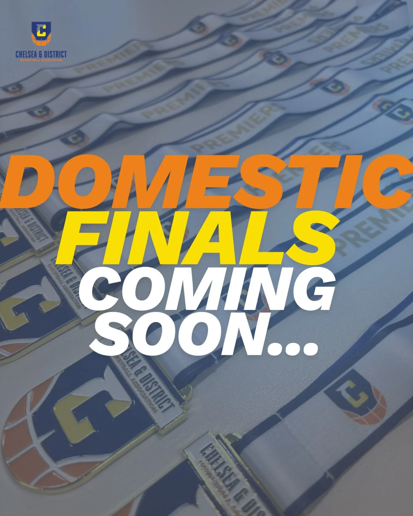 Domestic Finals are almost here! Make sure all your players are qualified and your teams are ready to go. 💪 Don&rsquo;t forget to tag us in all your domestic moments so we can reshare the action on our page! 🔥 #DomesticFinals #GameTime #TeamSpirit