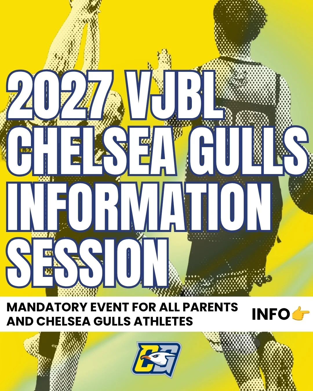 2027 VJBL CHELSEA GULLS: MANDATORY PARENT AND PLAYER INFORMATION SESSION