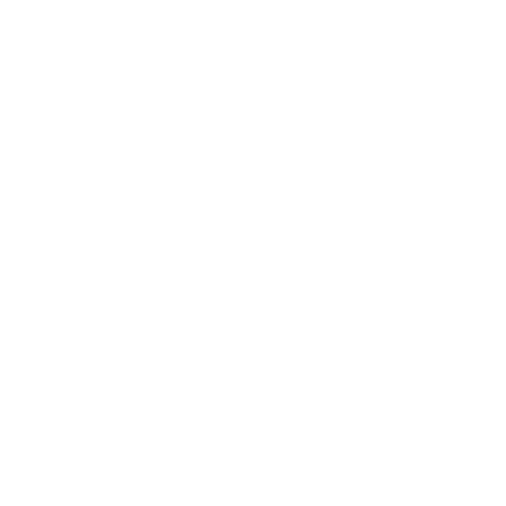 BULLYBALL