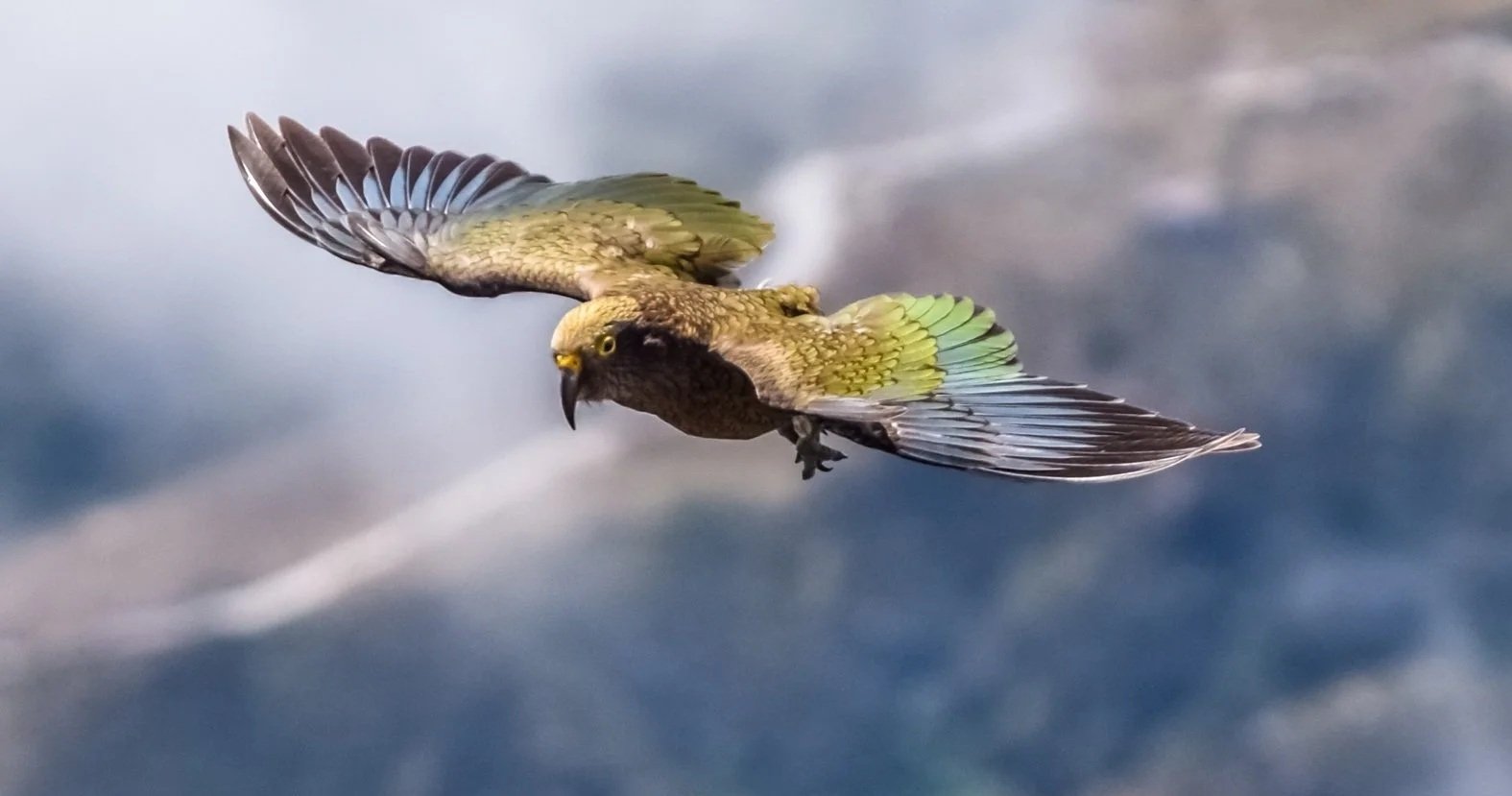 ZeAero Gains Government Support for the Launch of its Propulsion Prototype