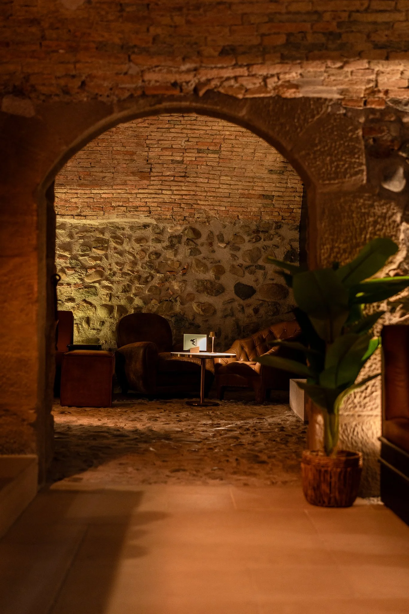 Low Quality JPG  - Silverback Décembre 2025-9.jpg