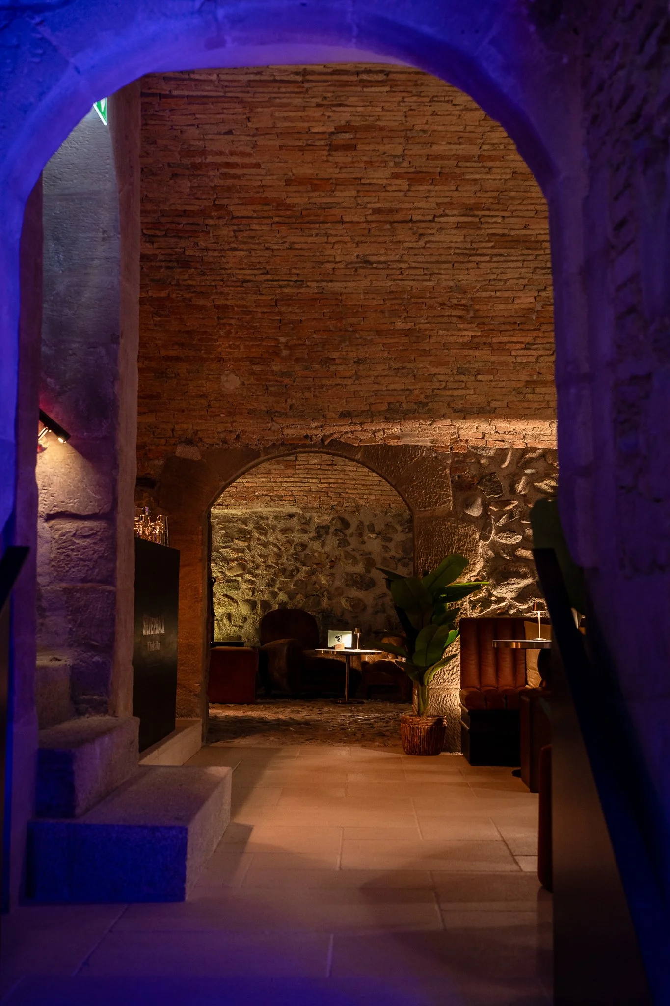 Low Quality JPG  - Silverback Décembre 2025-11.jpg