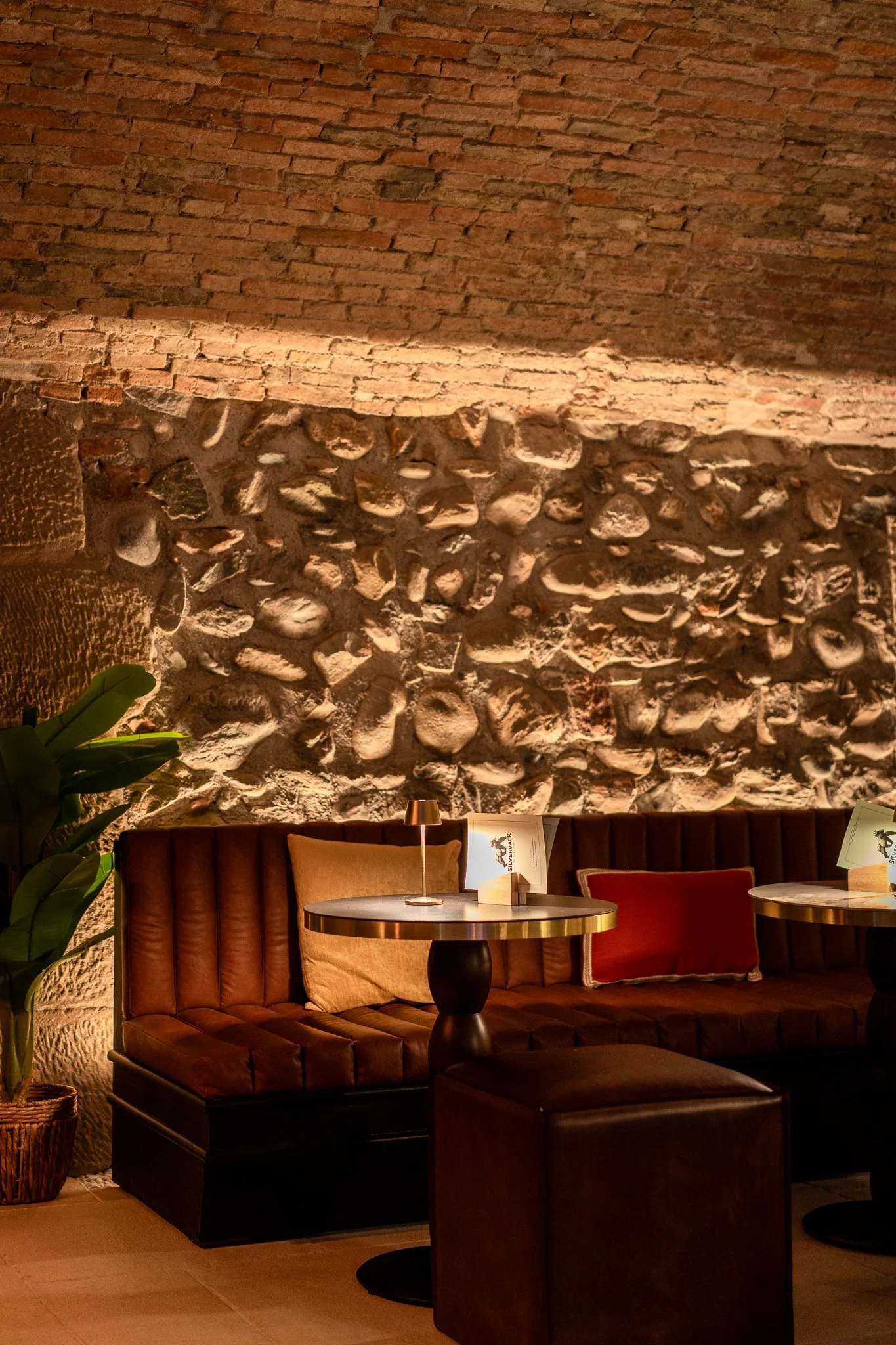 Low Quality JPG  - Silverback Décembre 2025-10.jpg