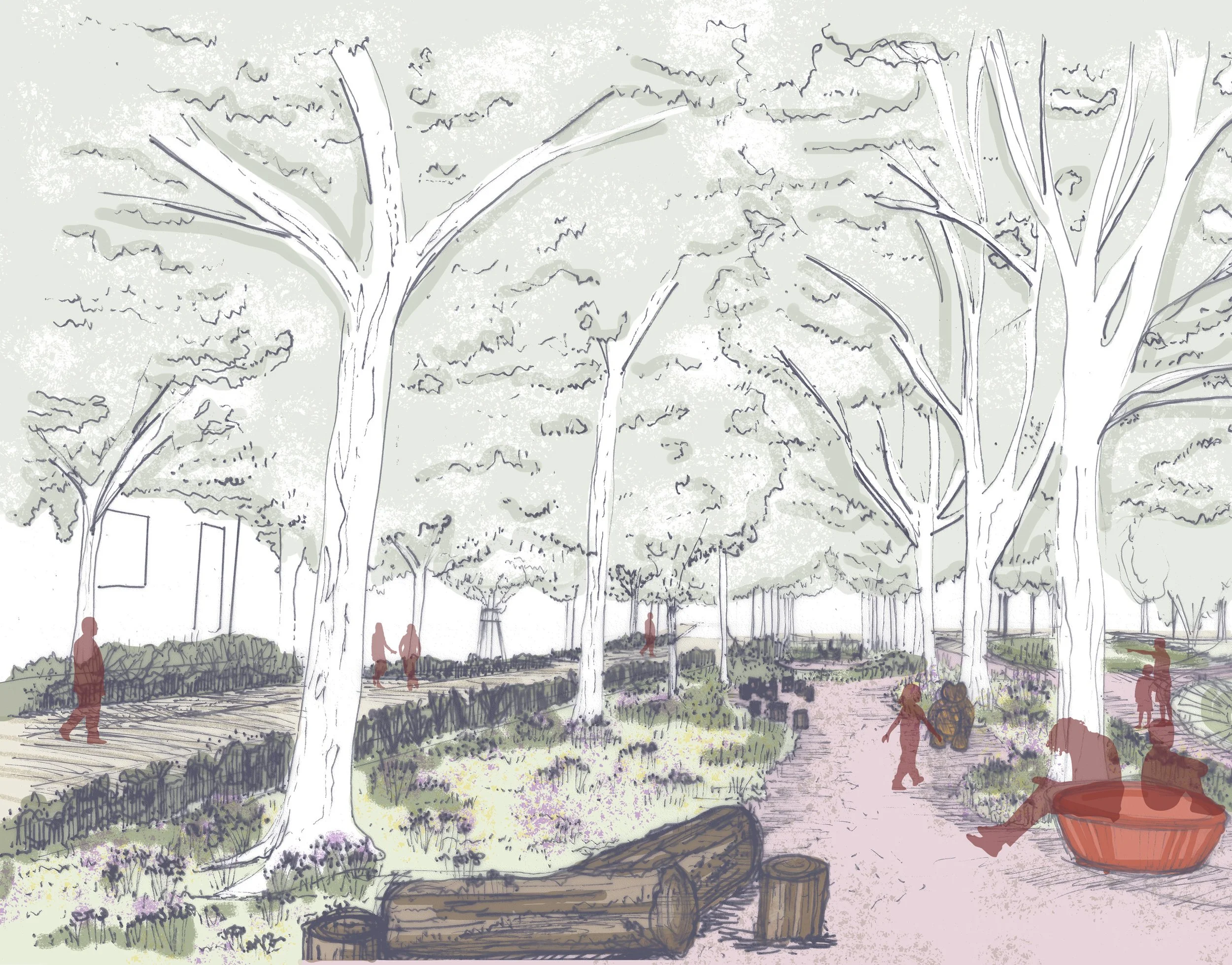 Croquis 1 final.jpg