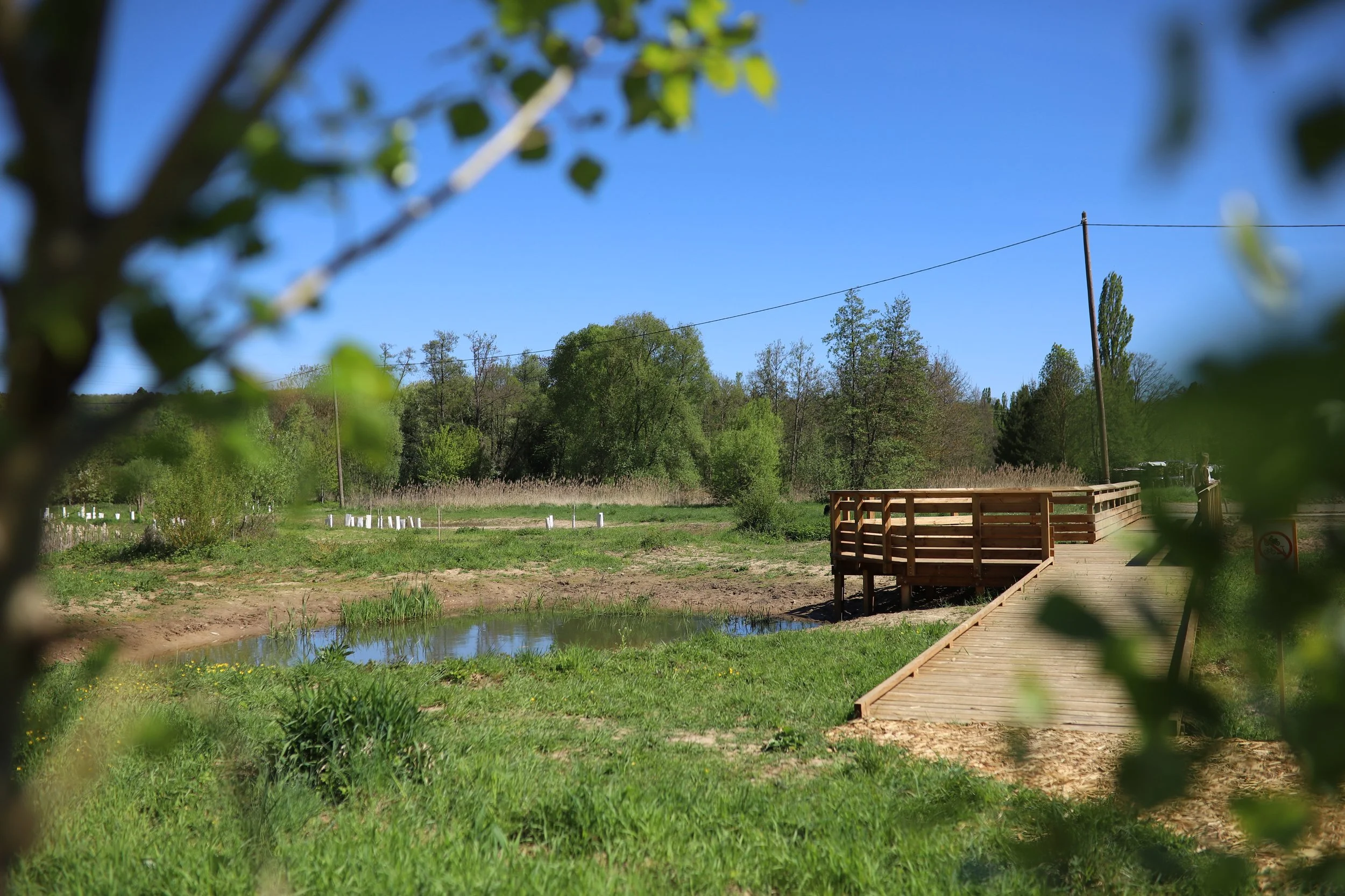 STILL / Renaturation du Stillbach