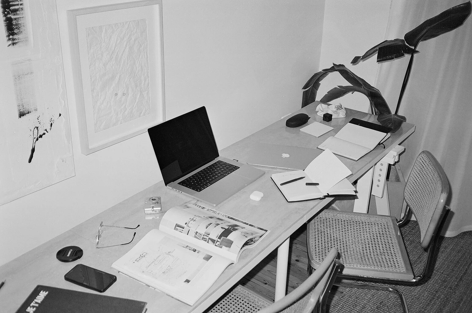 Jennifer Carp | Brand & Concept