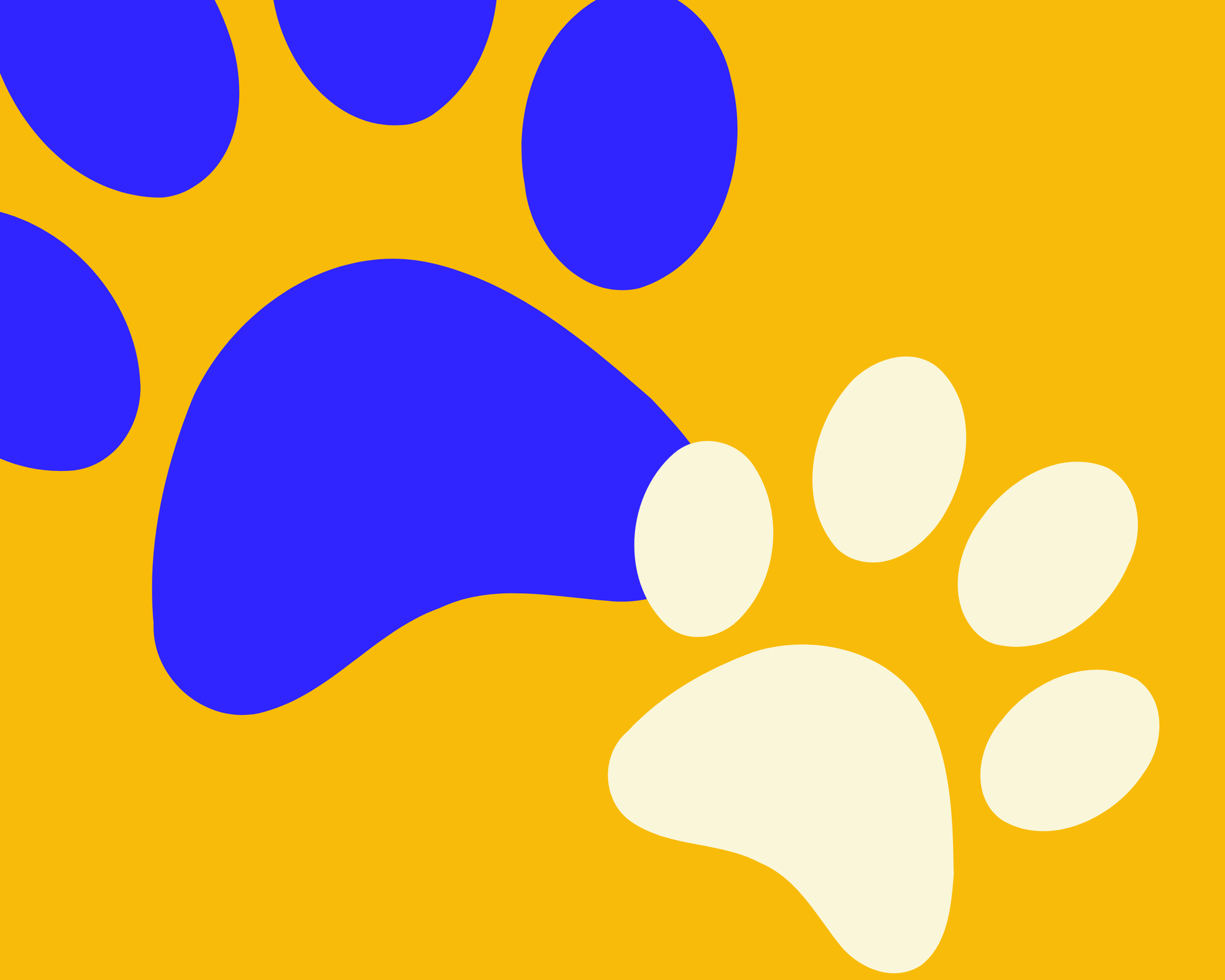 puppy-and-dog-training-classes-workshops-and-1-1-training-people