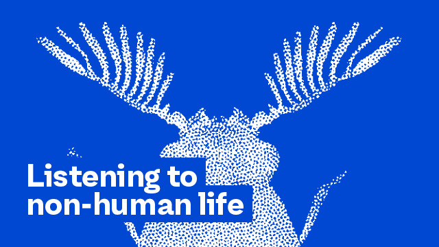 Magnetic Reception, 2018