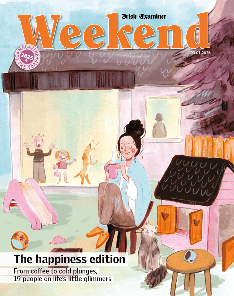 Irish Examiner Weekend Magazine Cover by Linda Byrne Illustration
