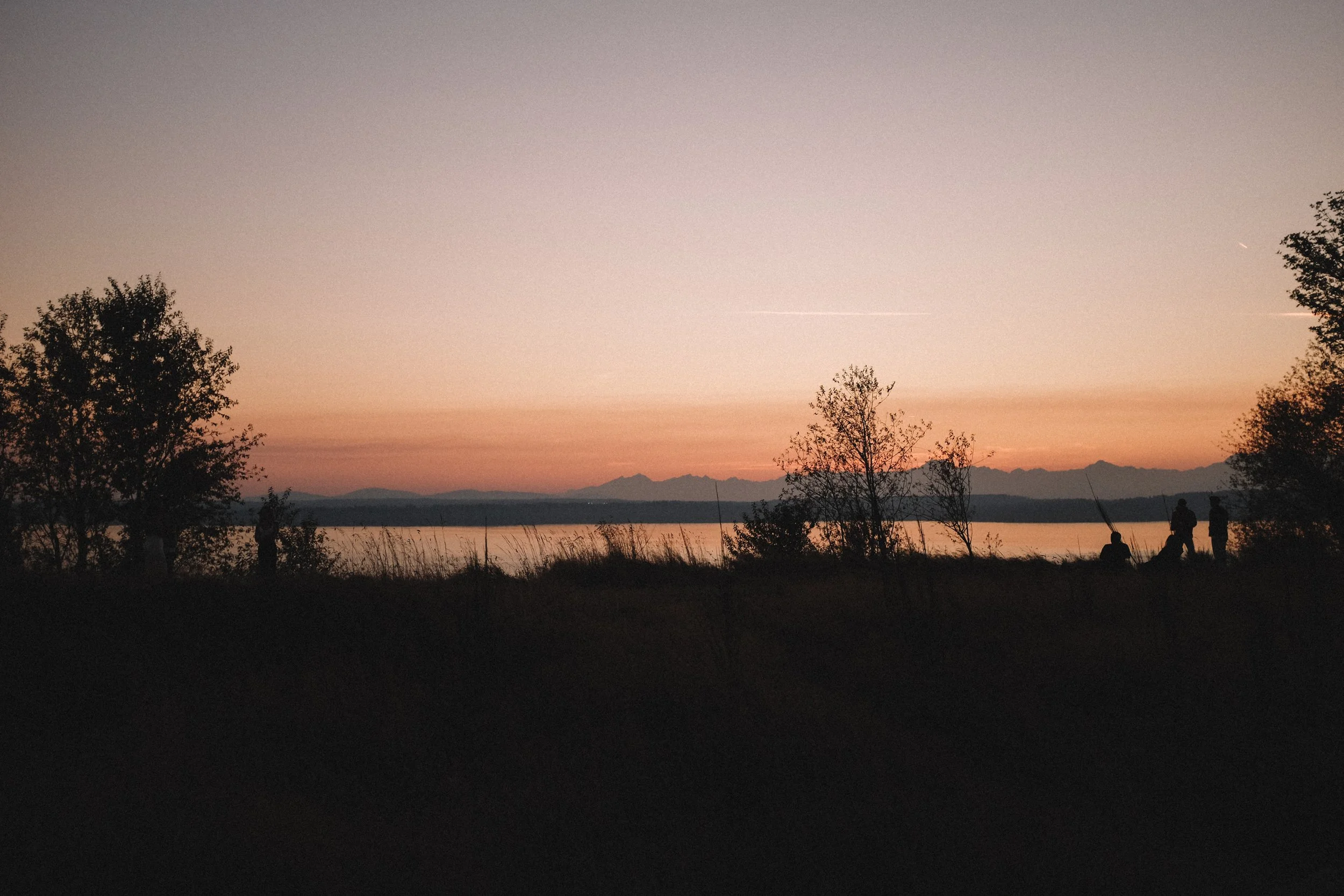 DSCF8733.jpg