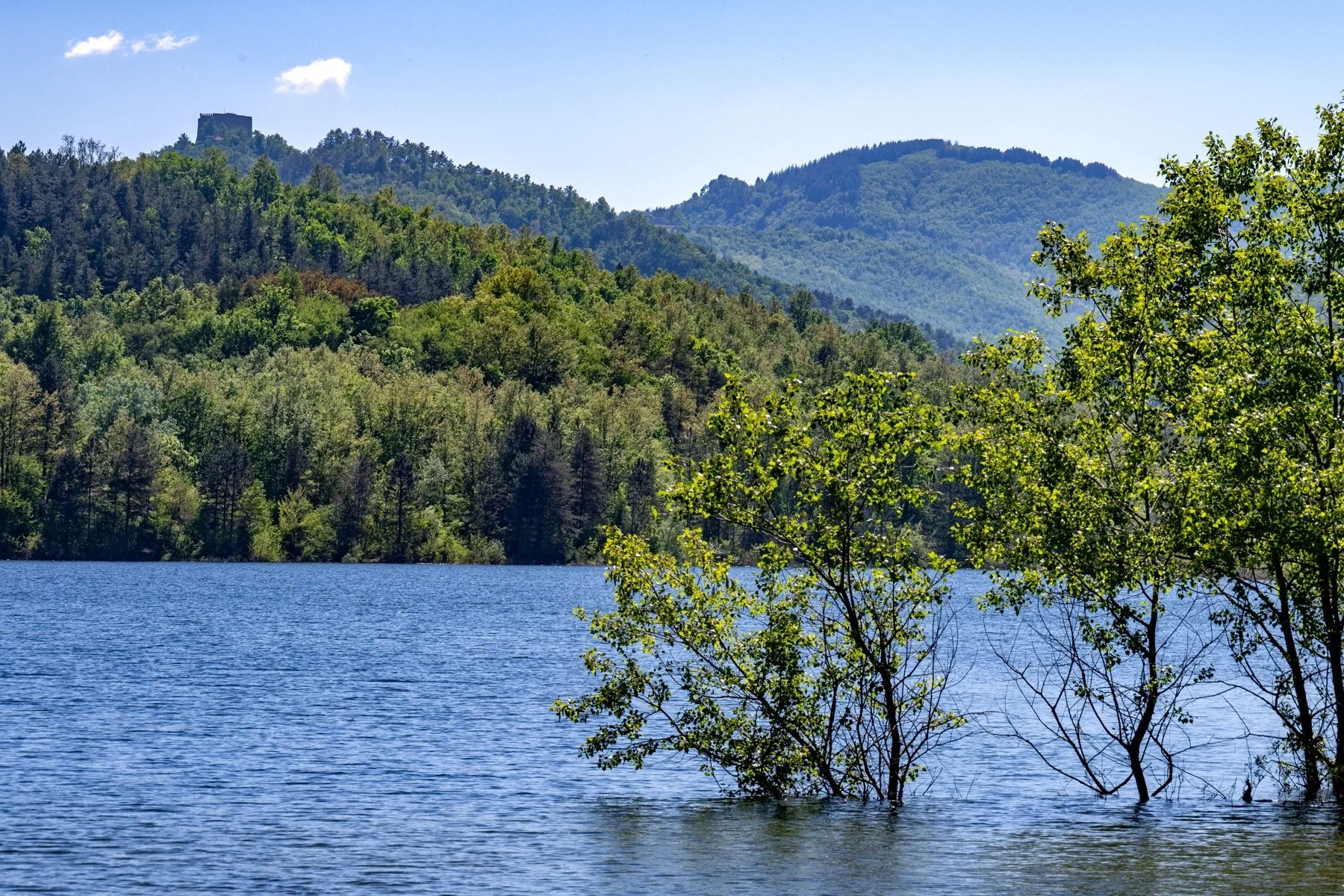 Z8E_8902_resize.jpg