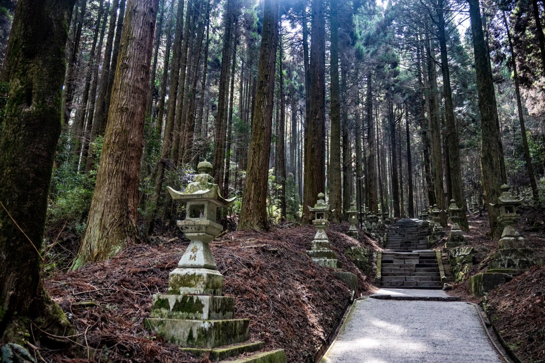 Japan Kyushu  (Apr 2026)