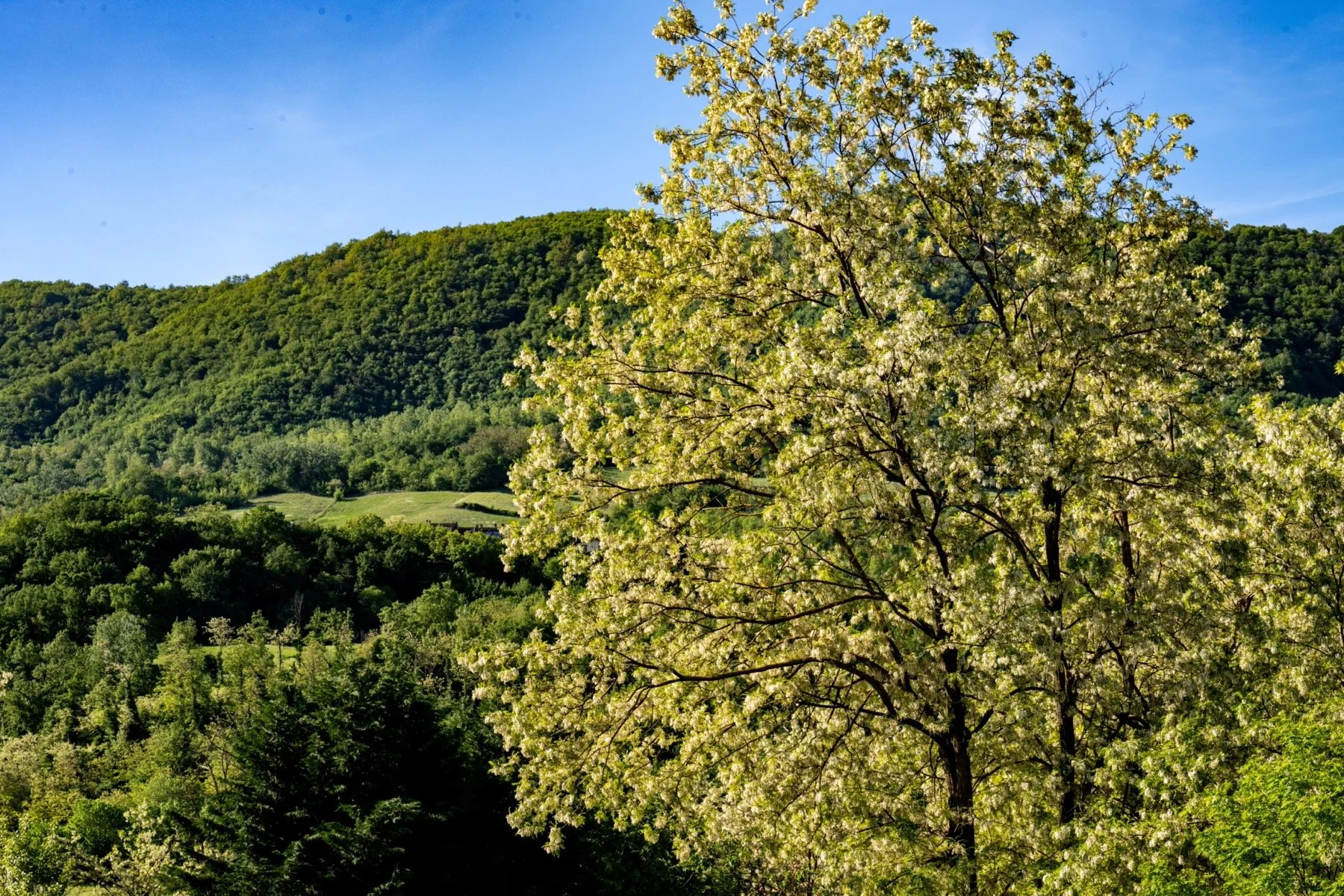 Z8E_9004_resize.jpg