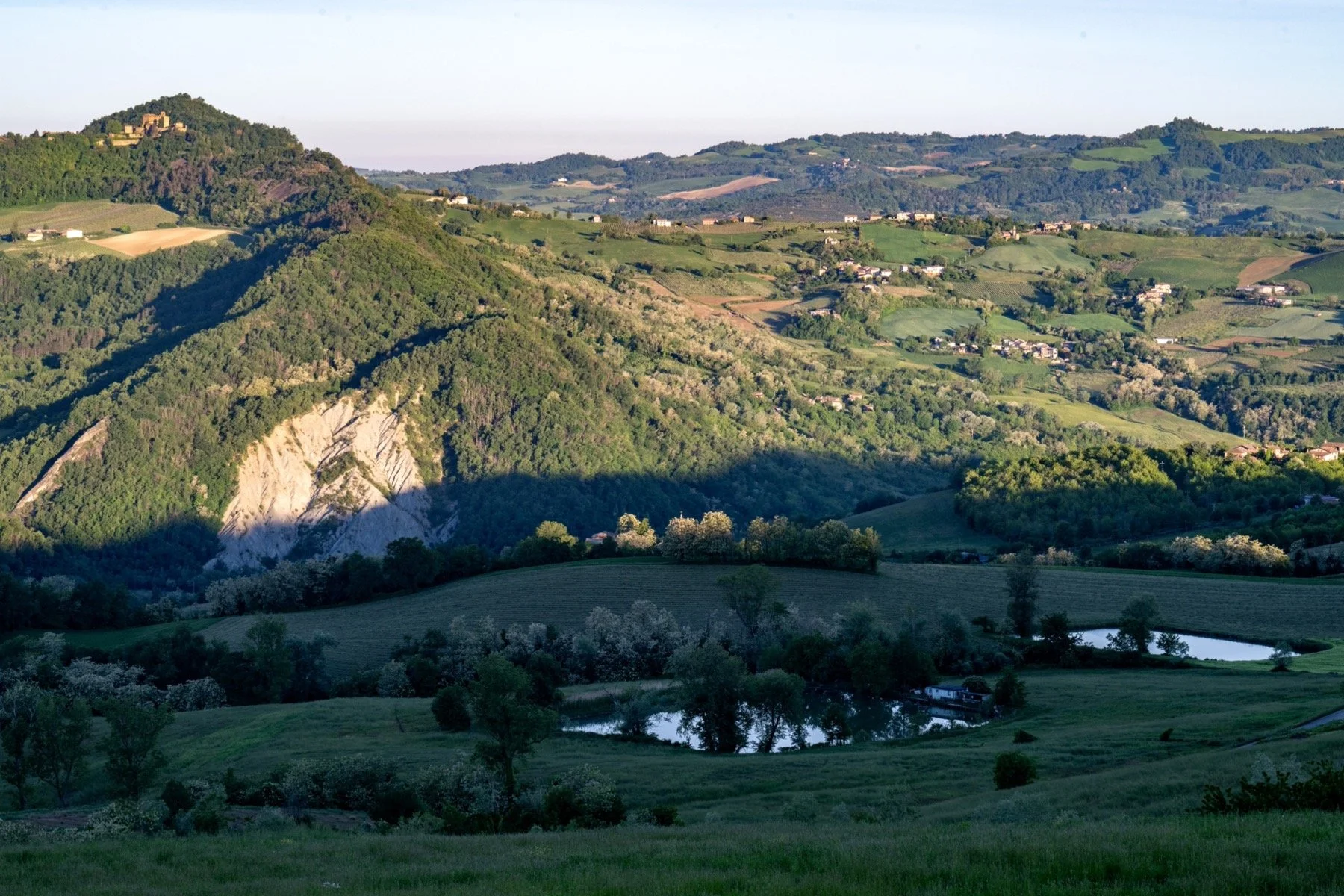 Z8E_8960_resize.jpg