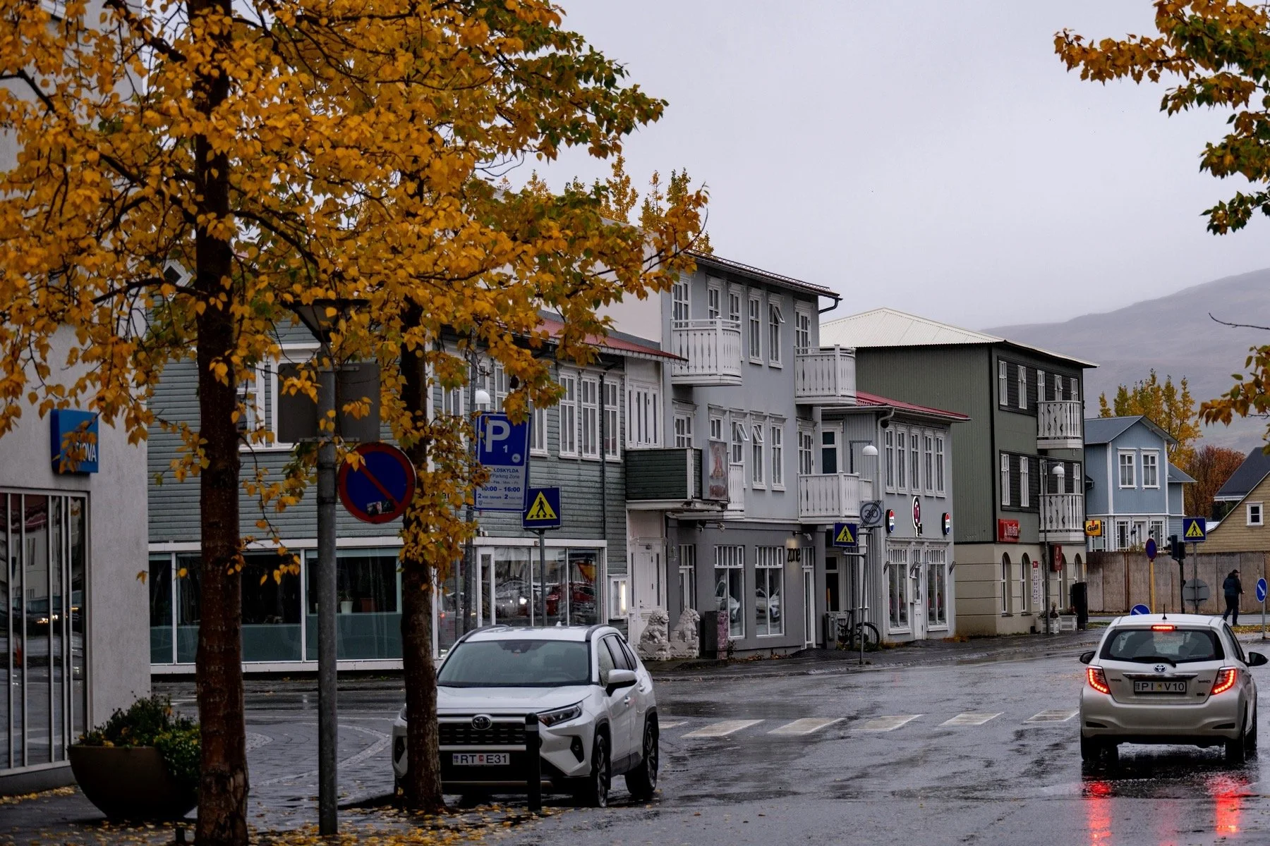 Z8F_3306_resize.jpg
