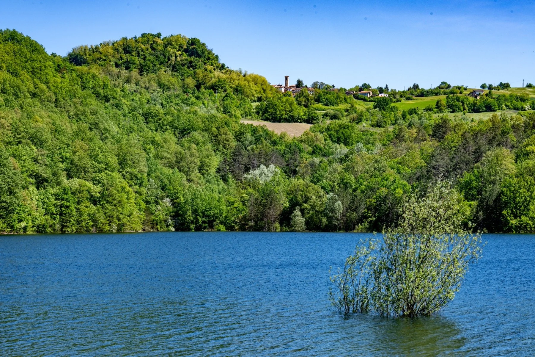 Z8E_8901_resize.jpg