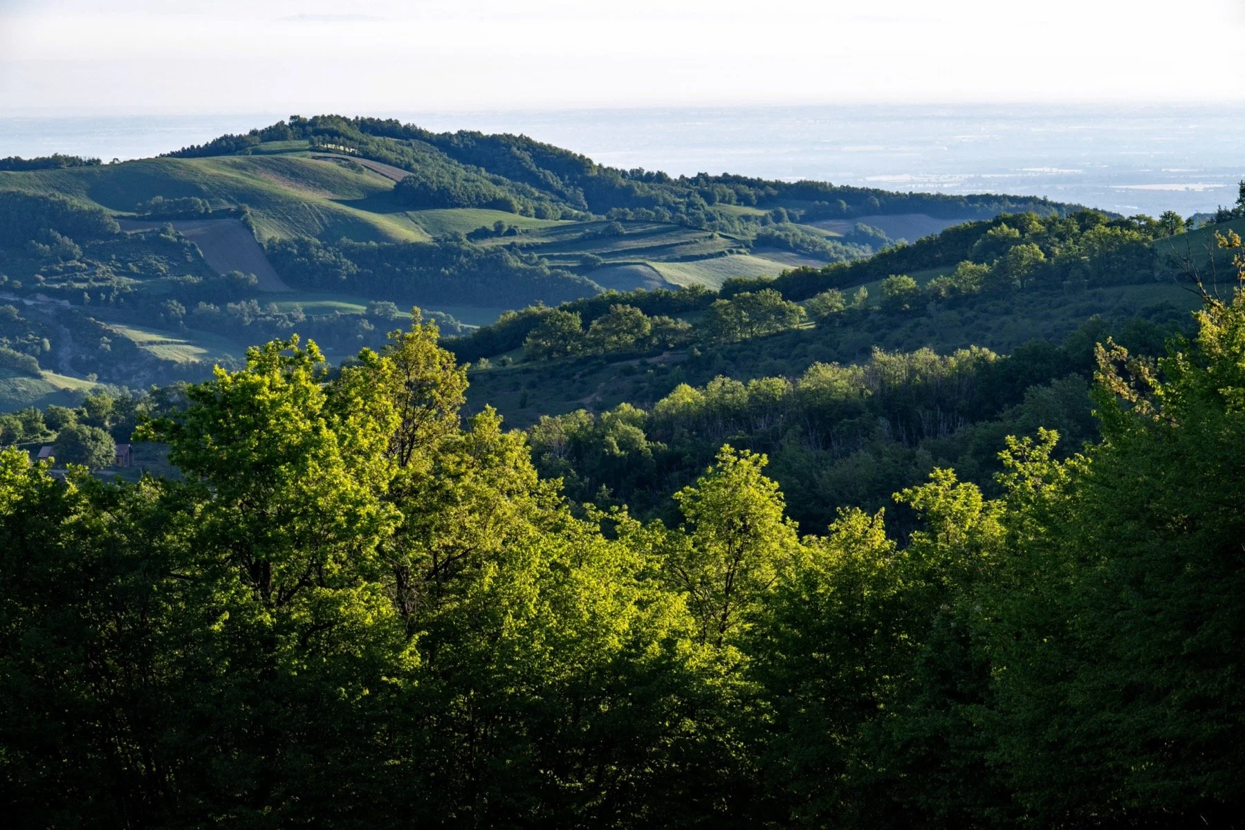 Z8E_8981_resize.jpg