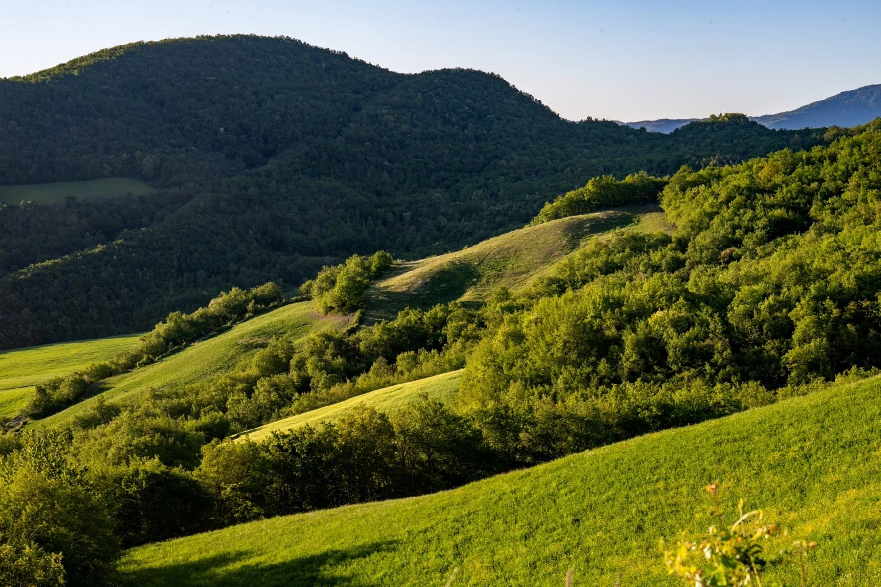 Z8E_8974_resize.jpg