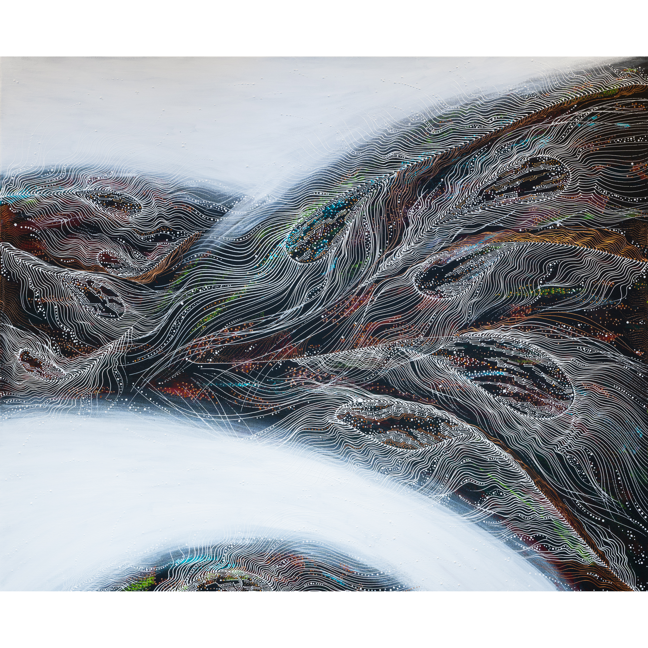 Aligned with the Wild