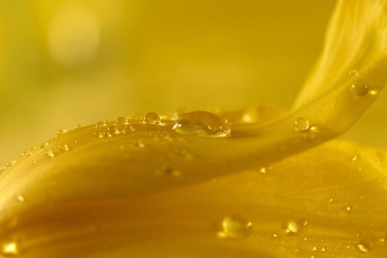 What Colours Work With Yellow in Office Interior Design?