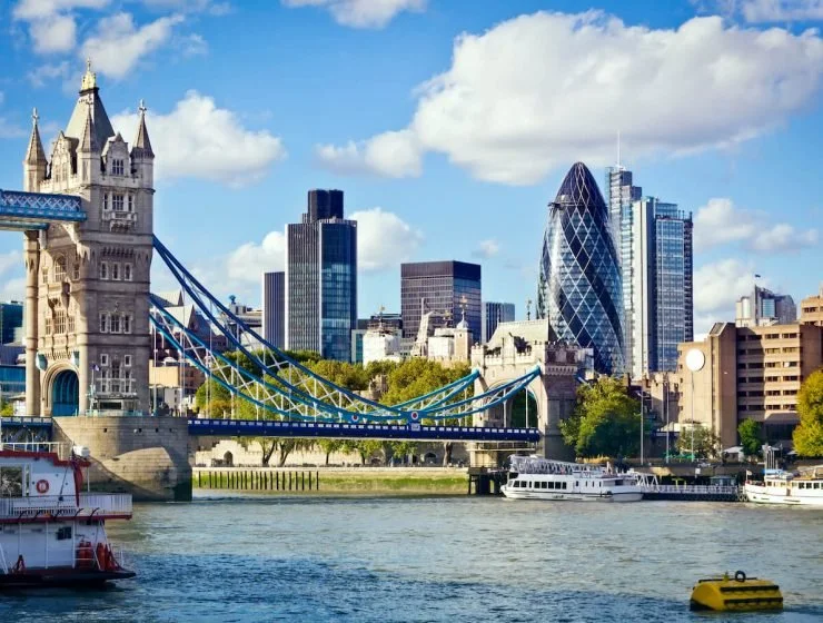 Executive Director Job at Focus