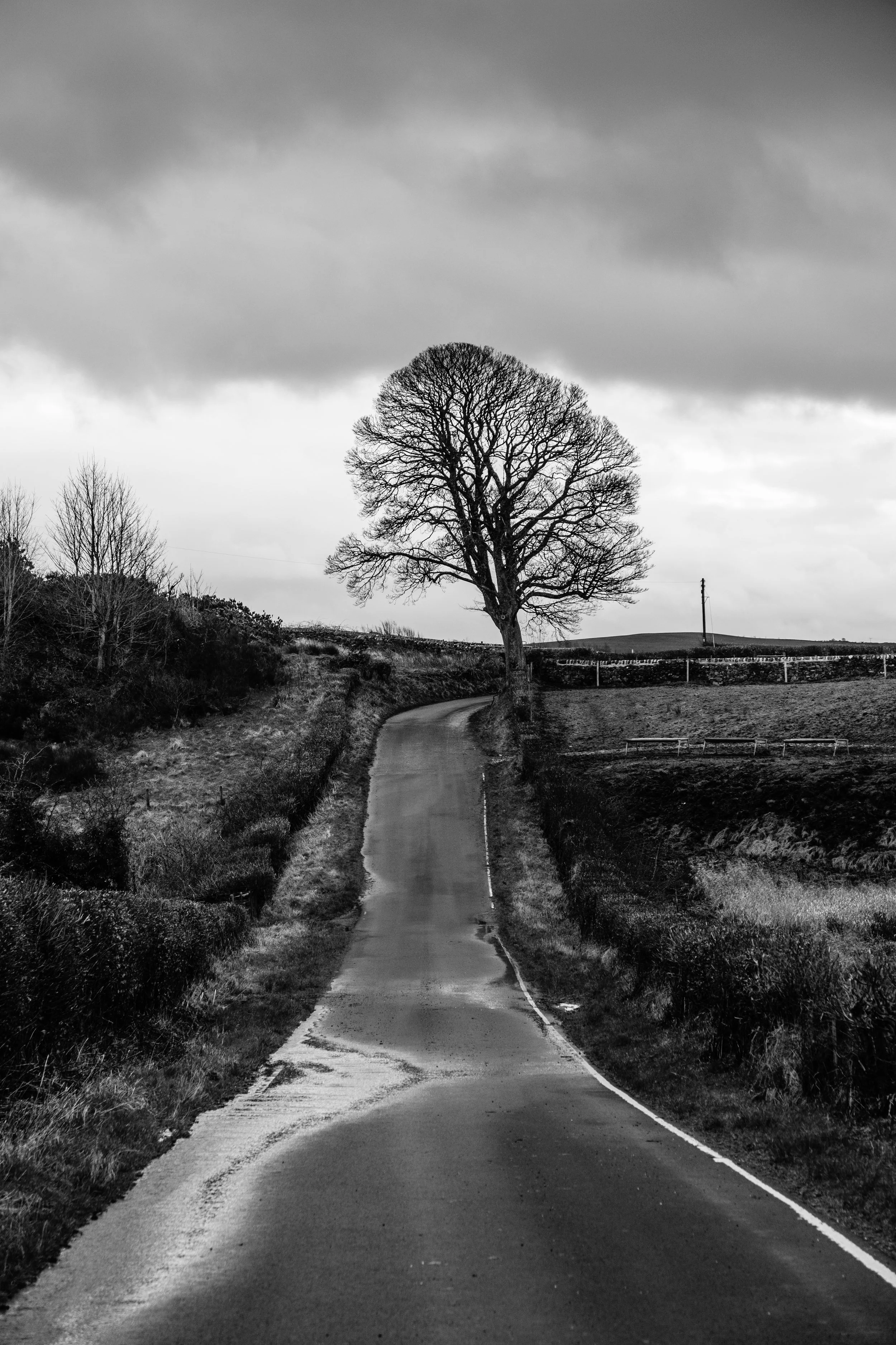 Mark Cameron_Bute_Landscape000141.jpg