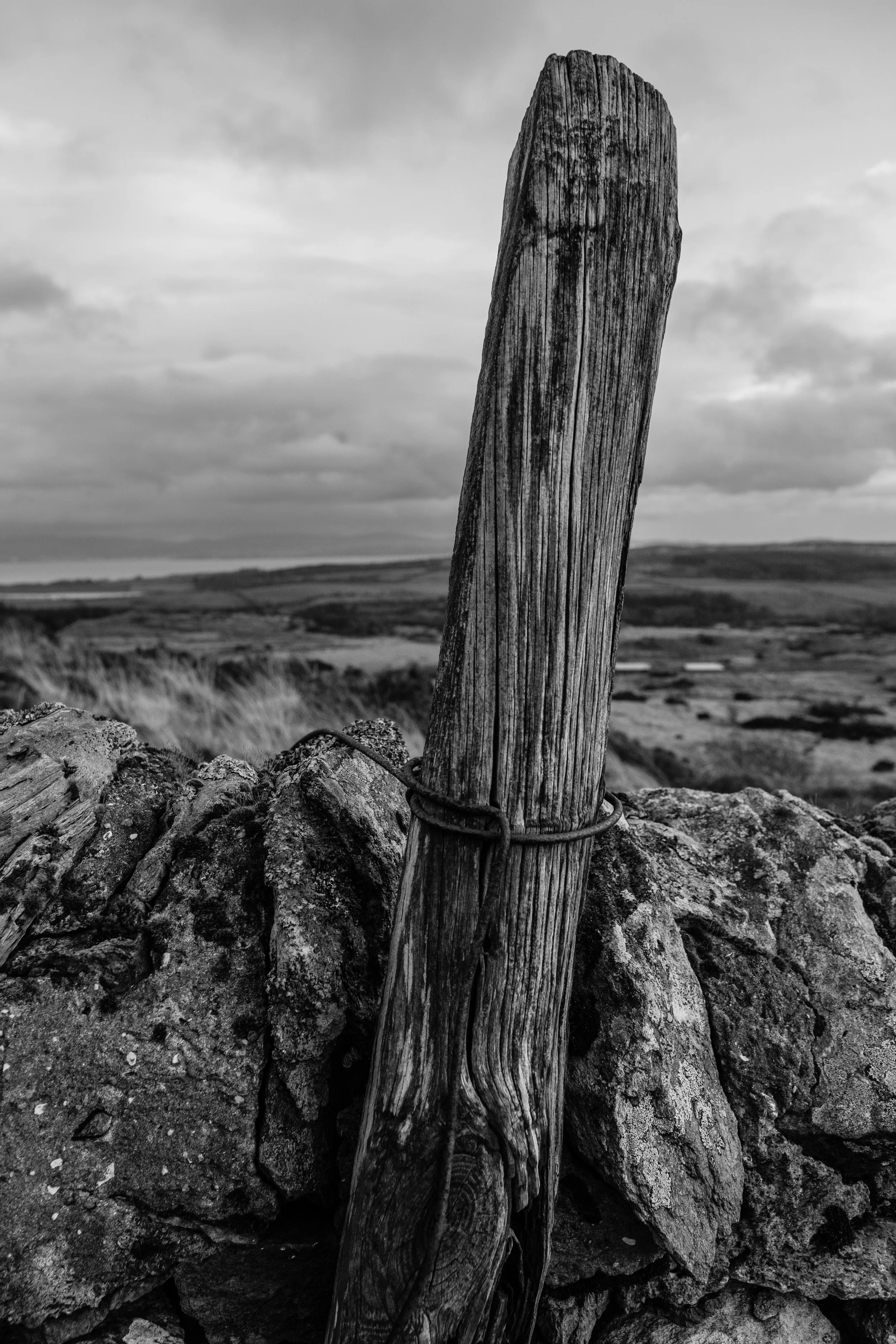 Mark Cameron_Bute_Landscape000147.jpg
