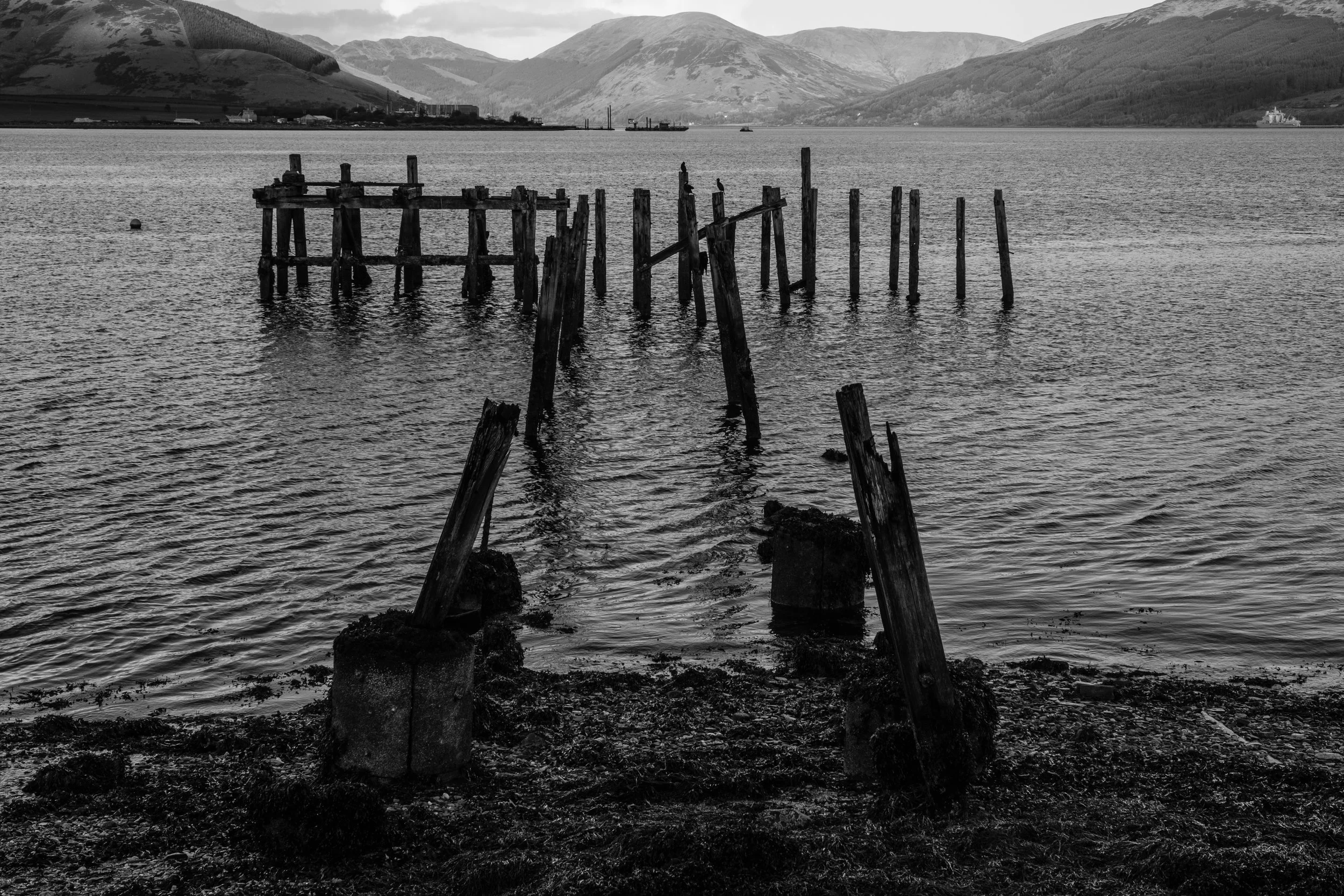 Mark Cameron_Bute_Landscape000158.jpg