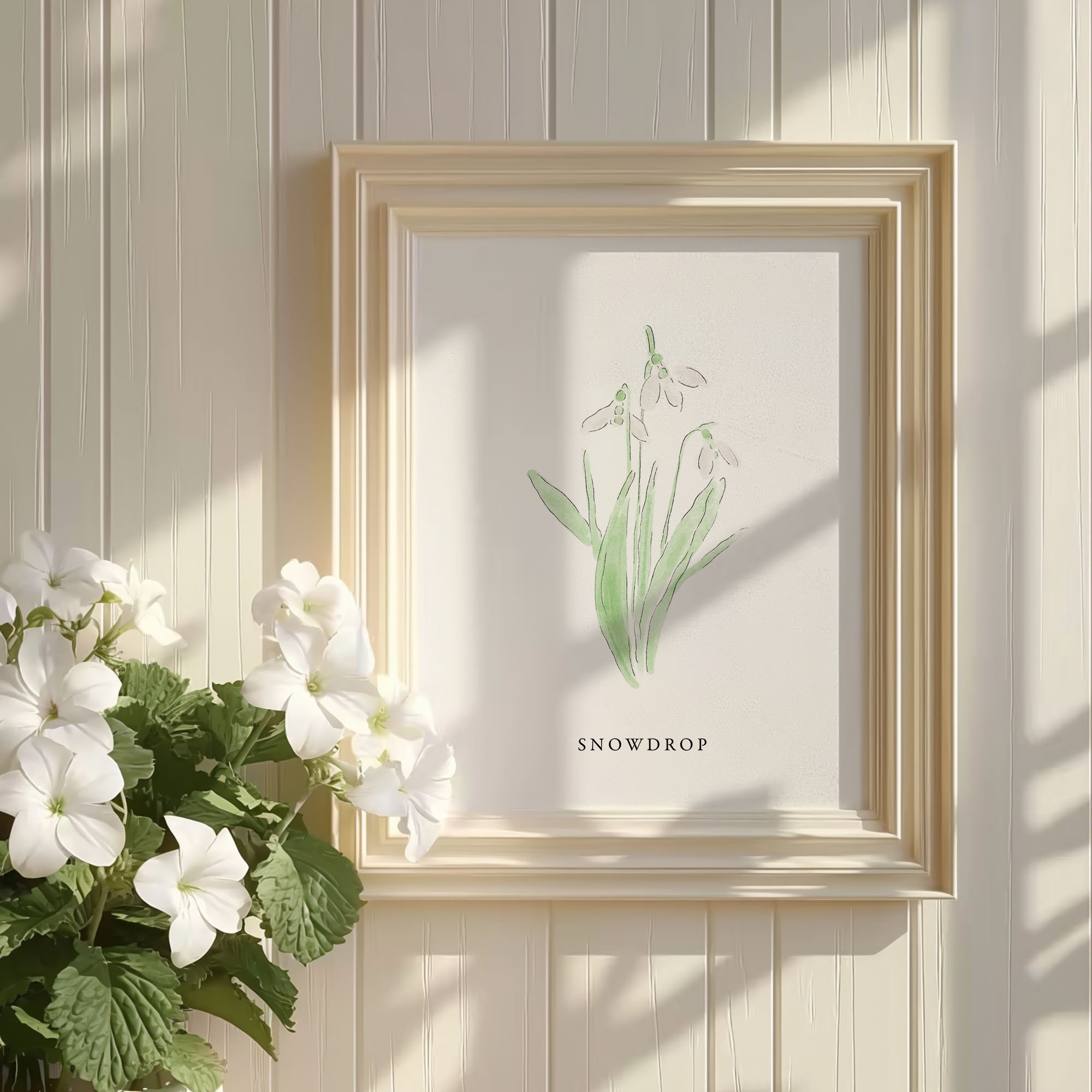 Artboard 4Snowdrop.jpg