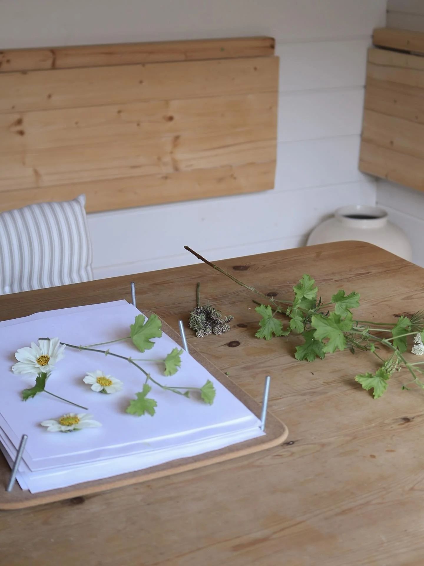 A reset studio and pressing flowers earlier in the week 🌿