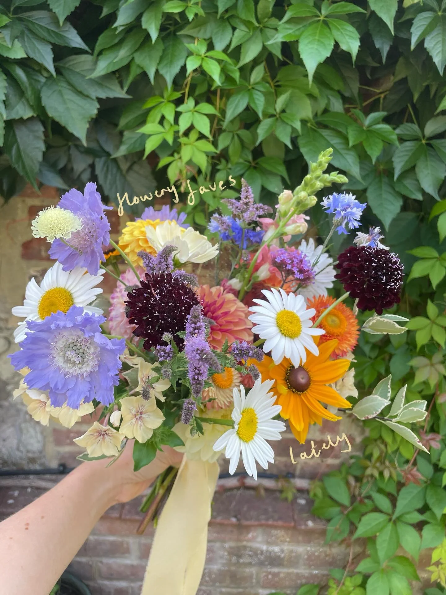 A few flowery moments lately 🌸