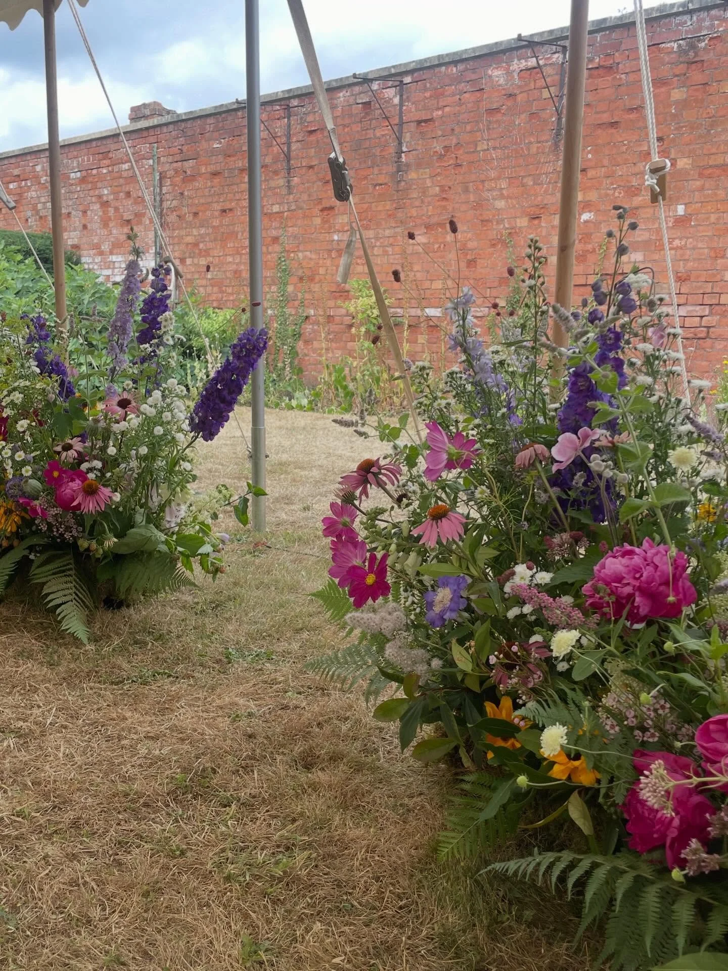 Dreaming of colour and summer flowers on this drizzly Friday 💛🌸🍇🫐

Just one month until the official start of spring! Although I will be counting it as the first day of march 🙊