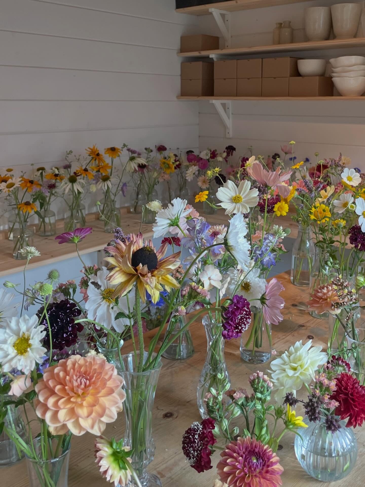 Spring is in the air and flowers are on their way 😍 
Not long until the studio will be full of colour and tangly stems ☀️