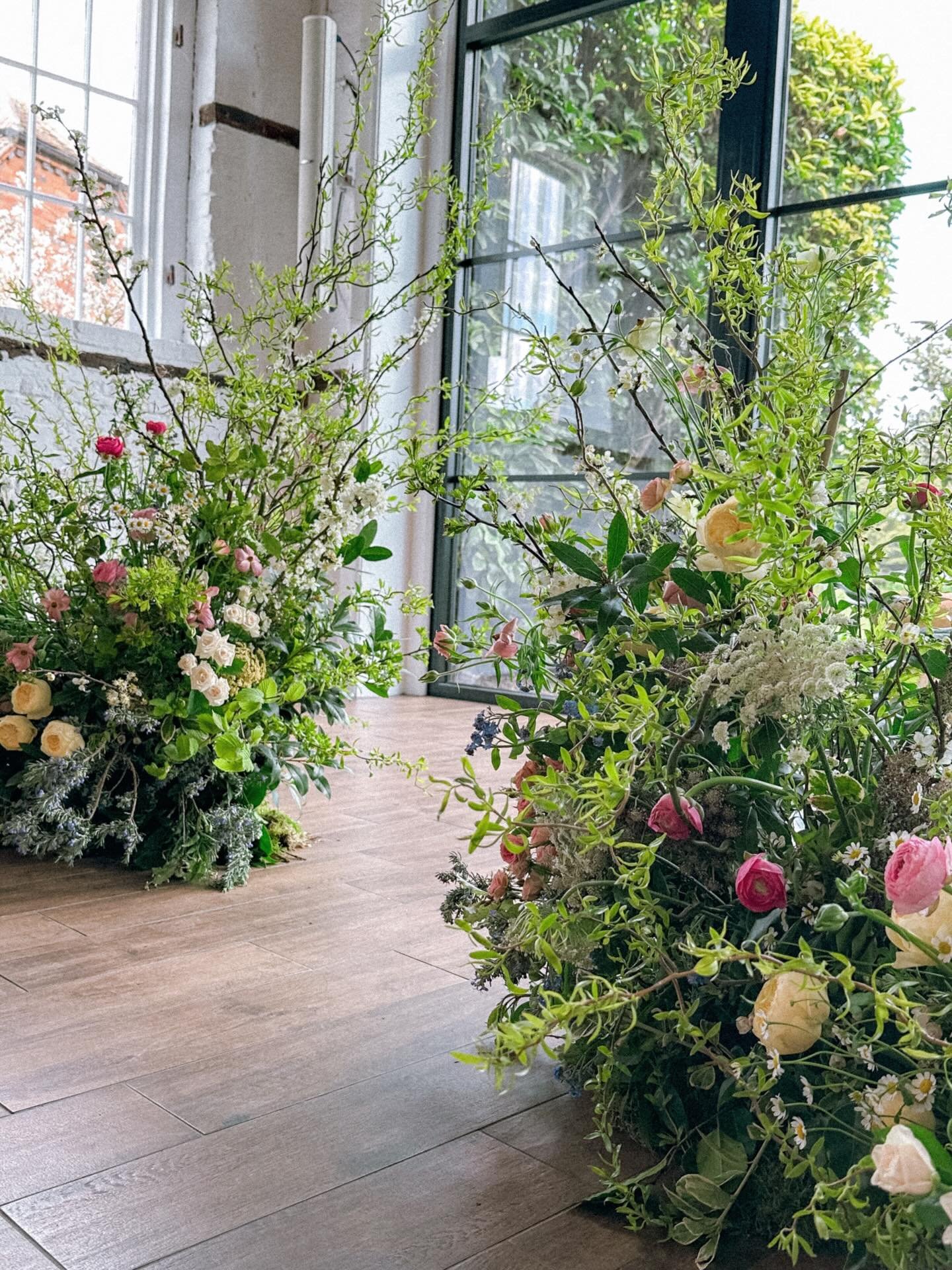 The beginning of spring ☀️🌿🌸